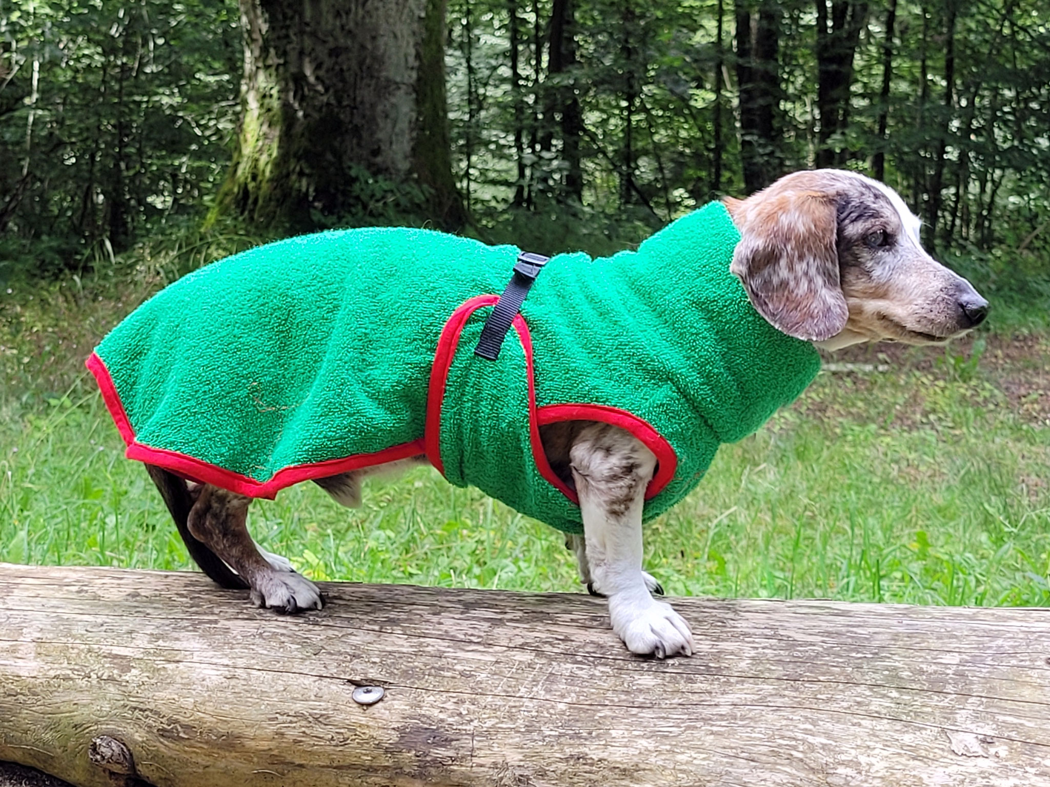 Hunde-Frottebademantel grün für Dackel
