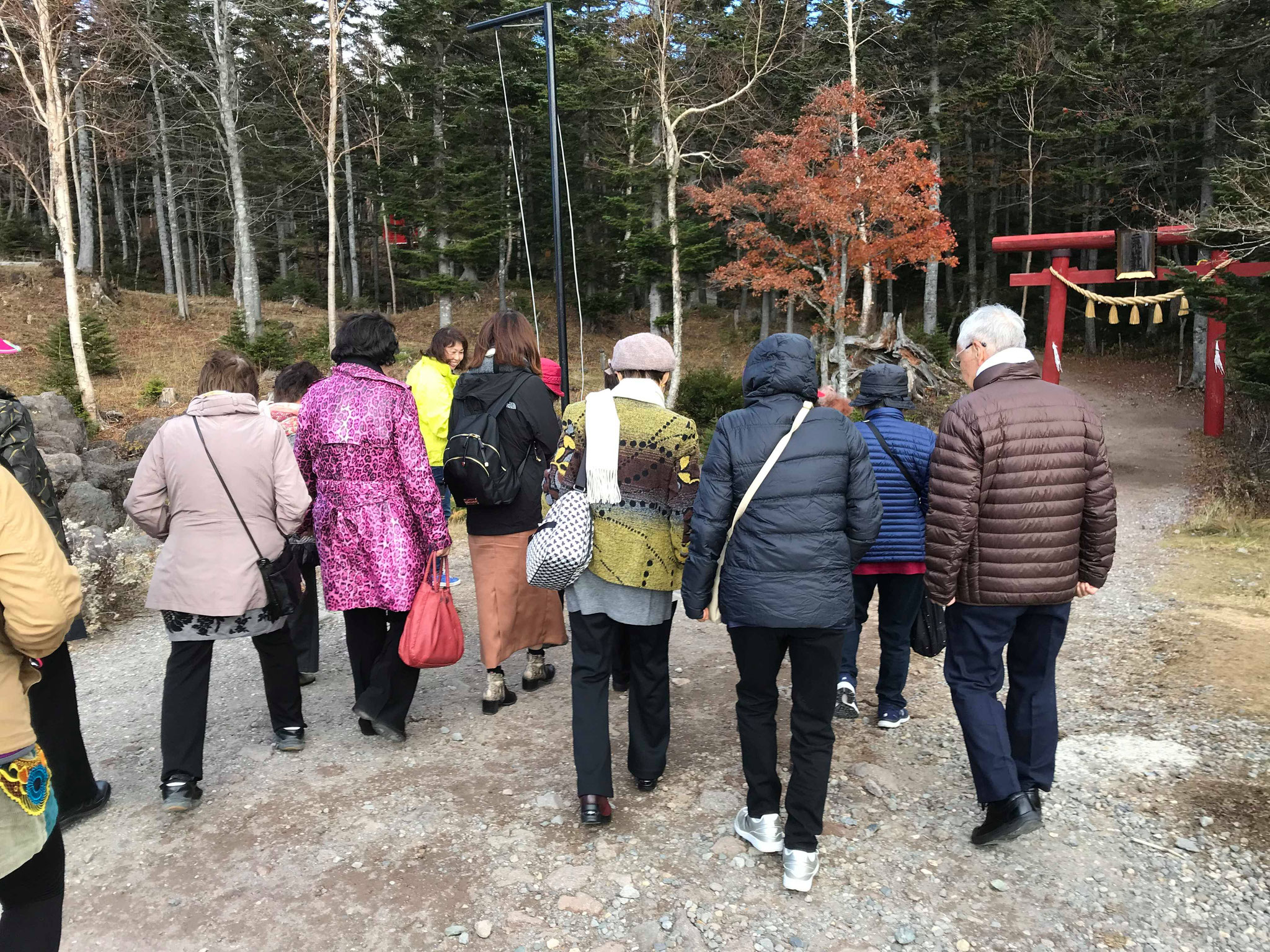 丸沼高原ウオーキングコース