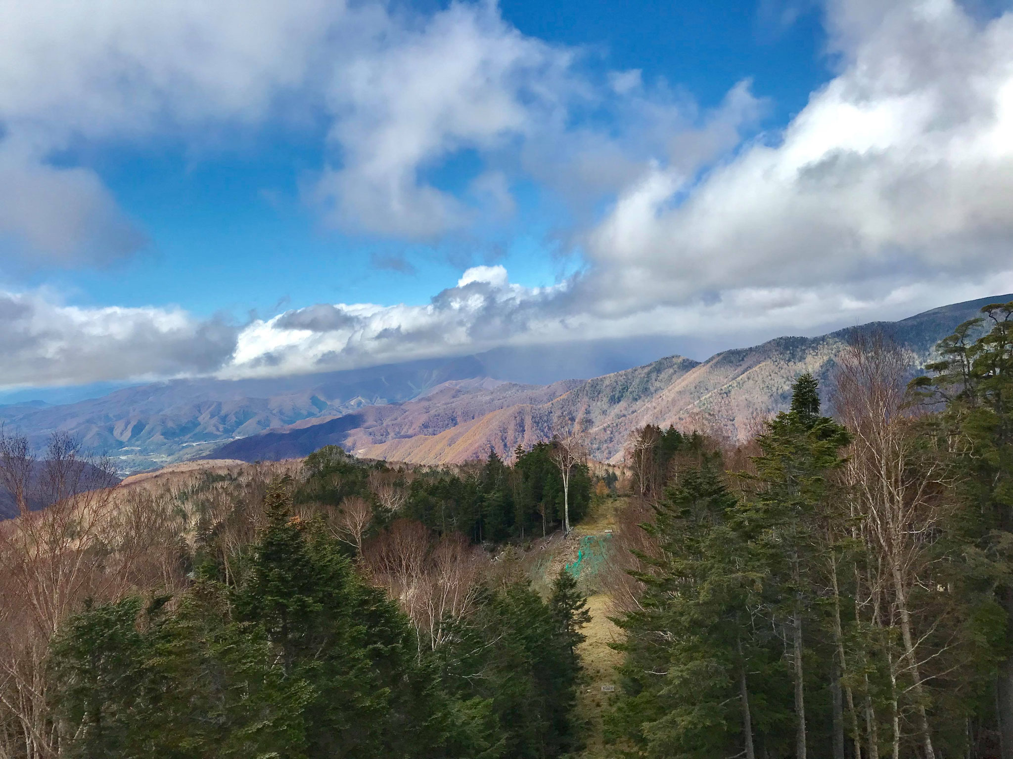 最高の景色