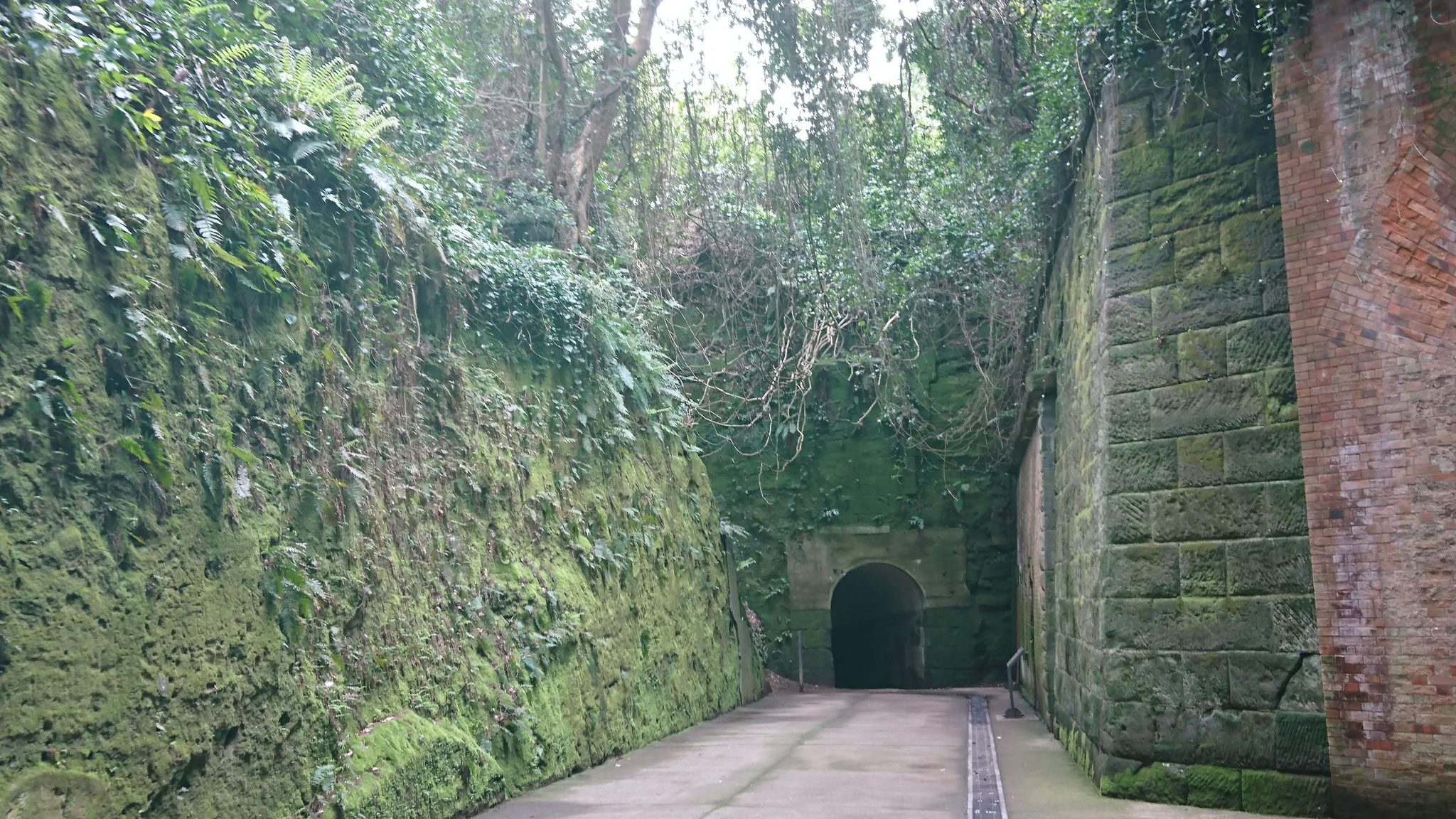 ラピュタに出てくるような風景です♪