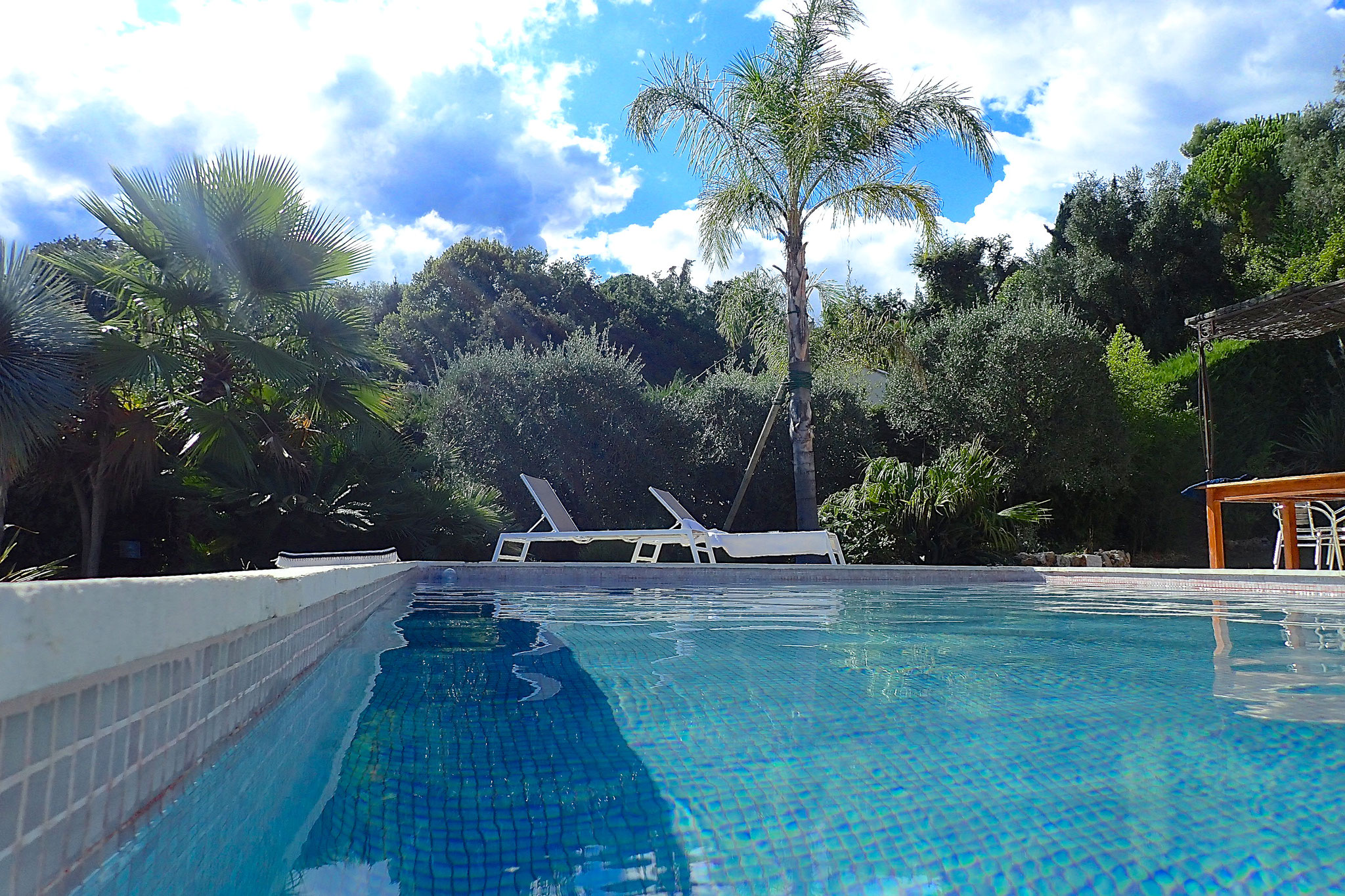 privat pool villa strelitzia Vence luxury retreat holidays homes riviera St. Paul de Vence