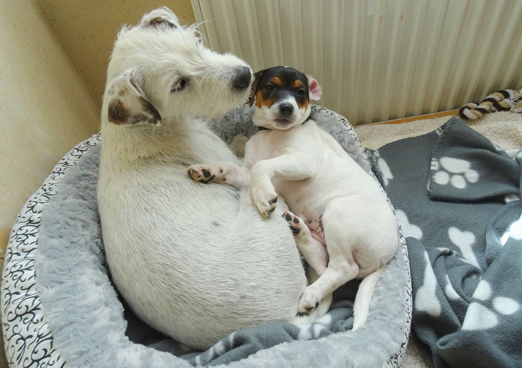 Ella mit Mama Aviva