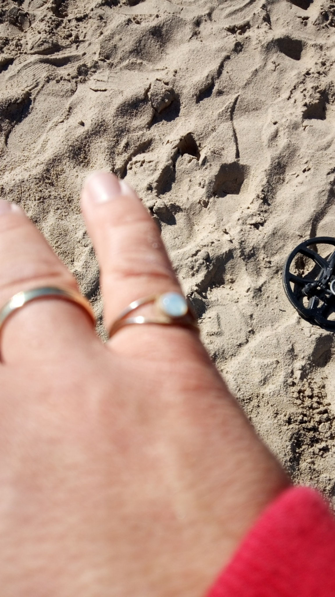 Ring am Elbstrand wiederfinden! 