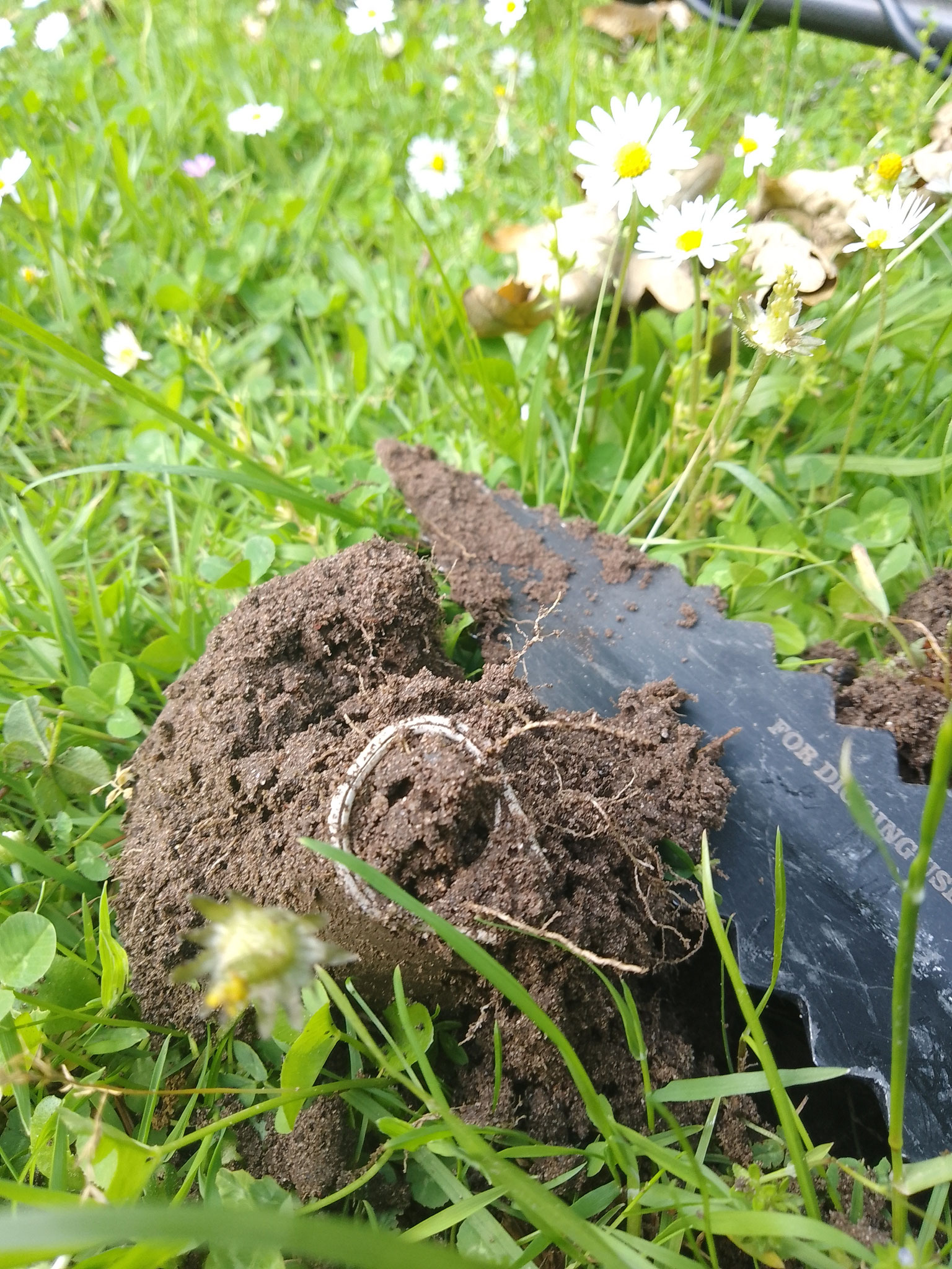 Ringe im Rasen wiederfinden!
