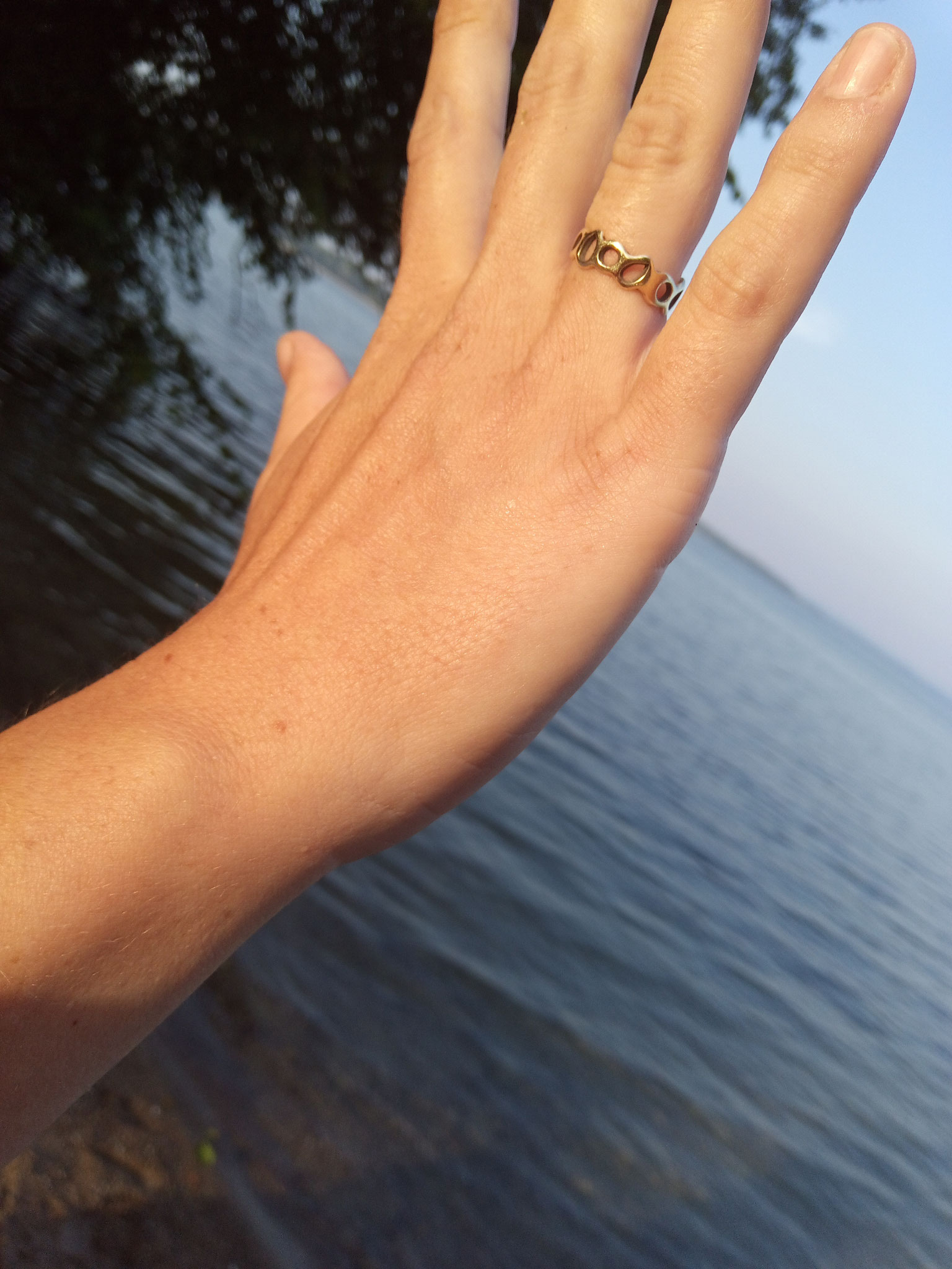 Kleiner Goldring im See finden?