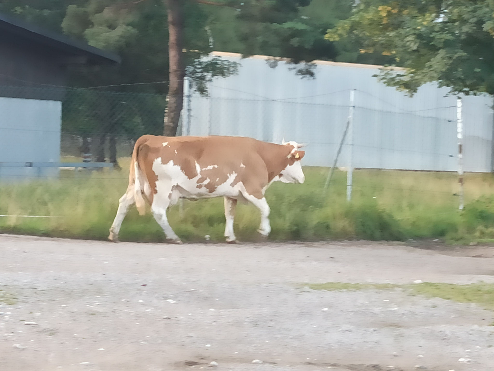 wollen die mit uns trainieren?