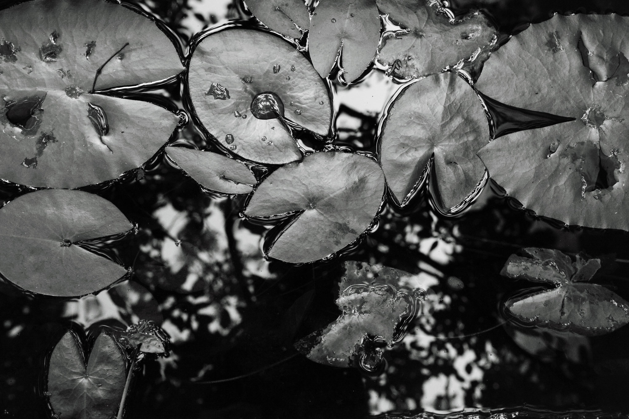 Résultat de recherche d'images pour "Bertrand Perret photos"