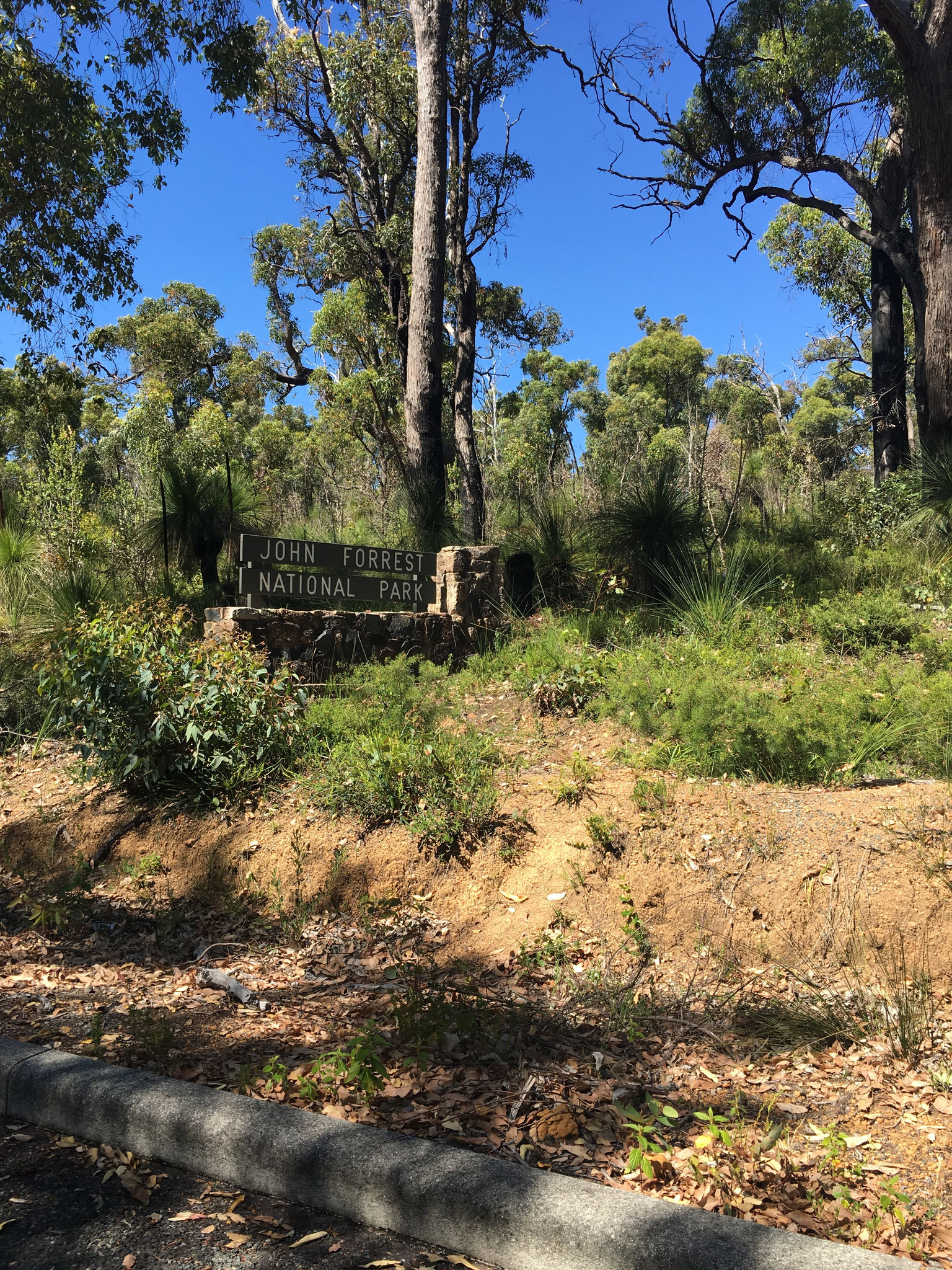 11 Eine Woche alleine, Openair Cinema, verfrühtes Weihnachten und