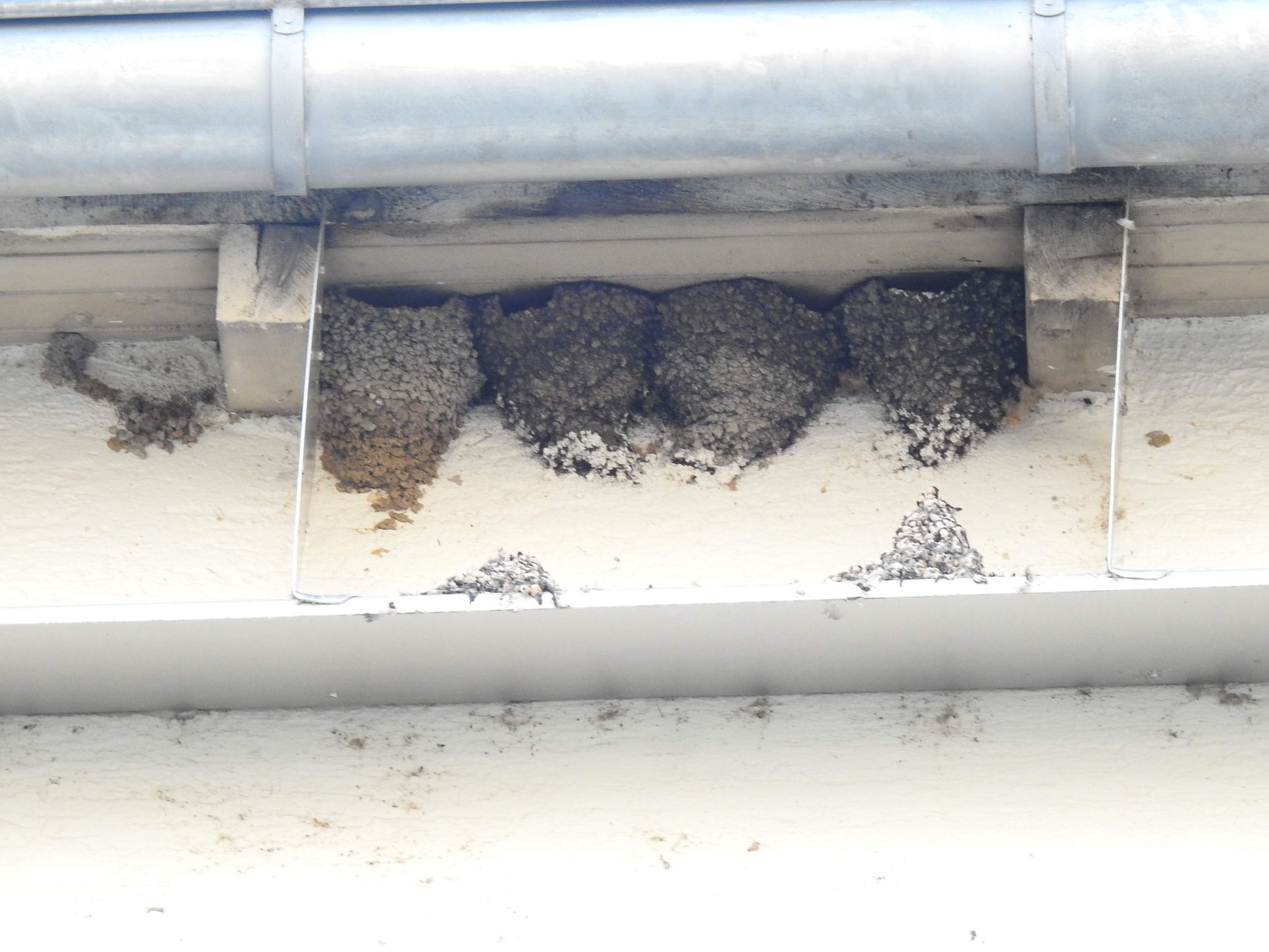 Kotbretter verhindern die Verschmutzung von den darunterliegenden Fenstern und Fensterbrettern.