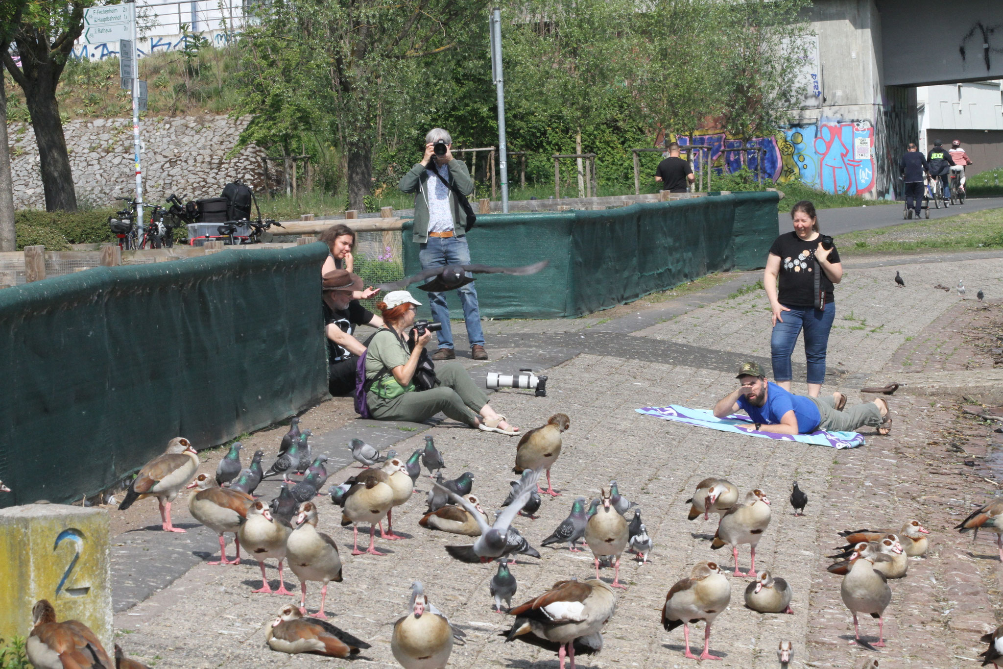 Thomas zeigt, wie Froschperspektive funktionier. Foto: Waltraud Huni