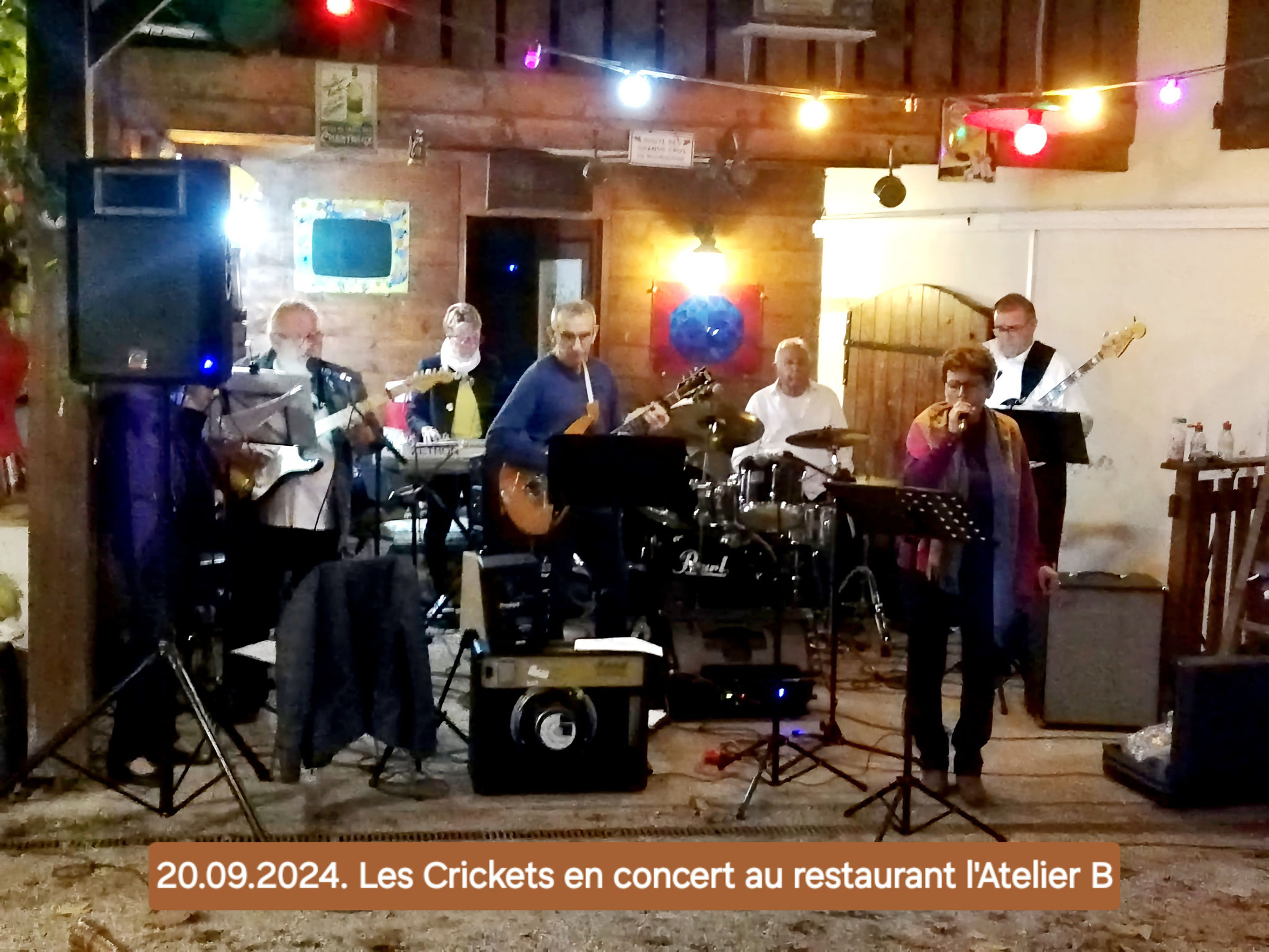 Les Crickets en concert