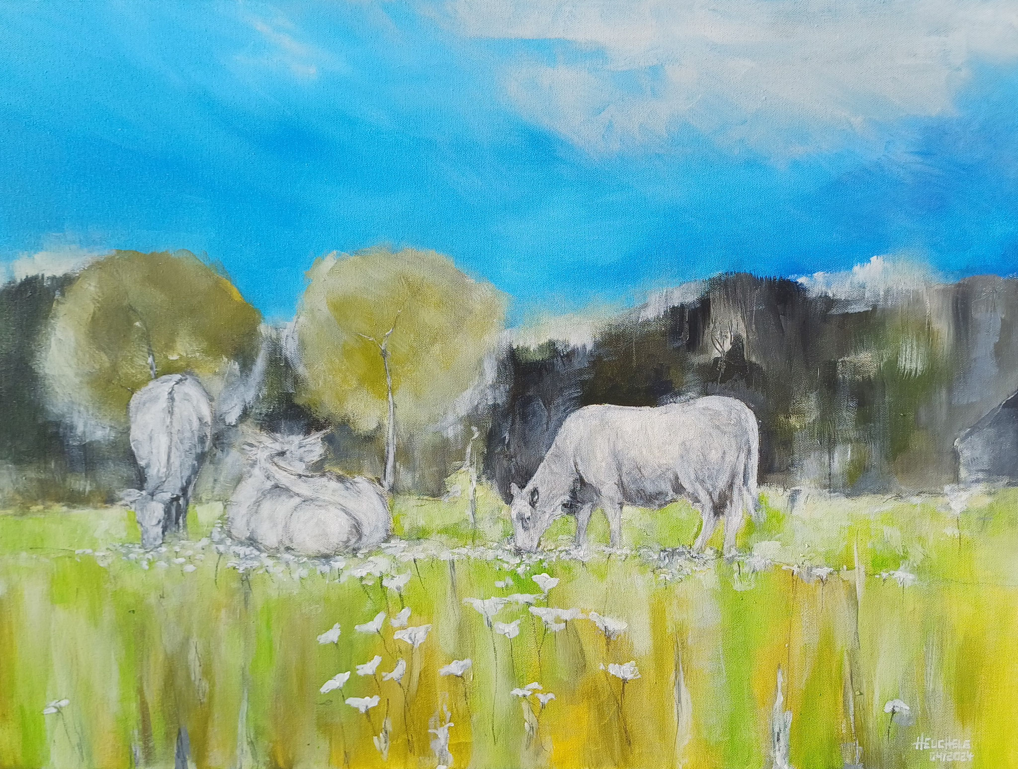 Kühe auf der Blumenwiese 80 x 60