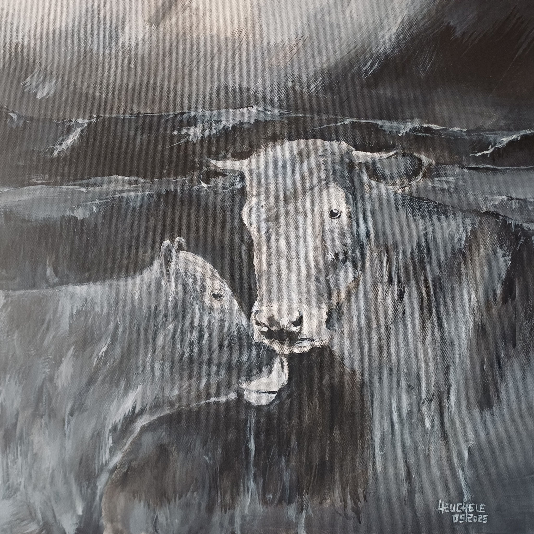 Harmonie 50 x 50