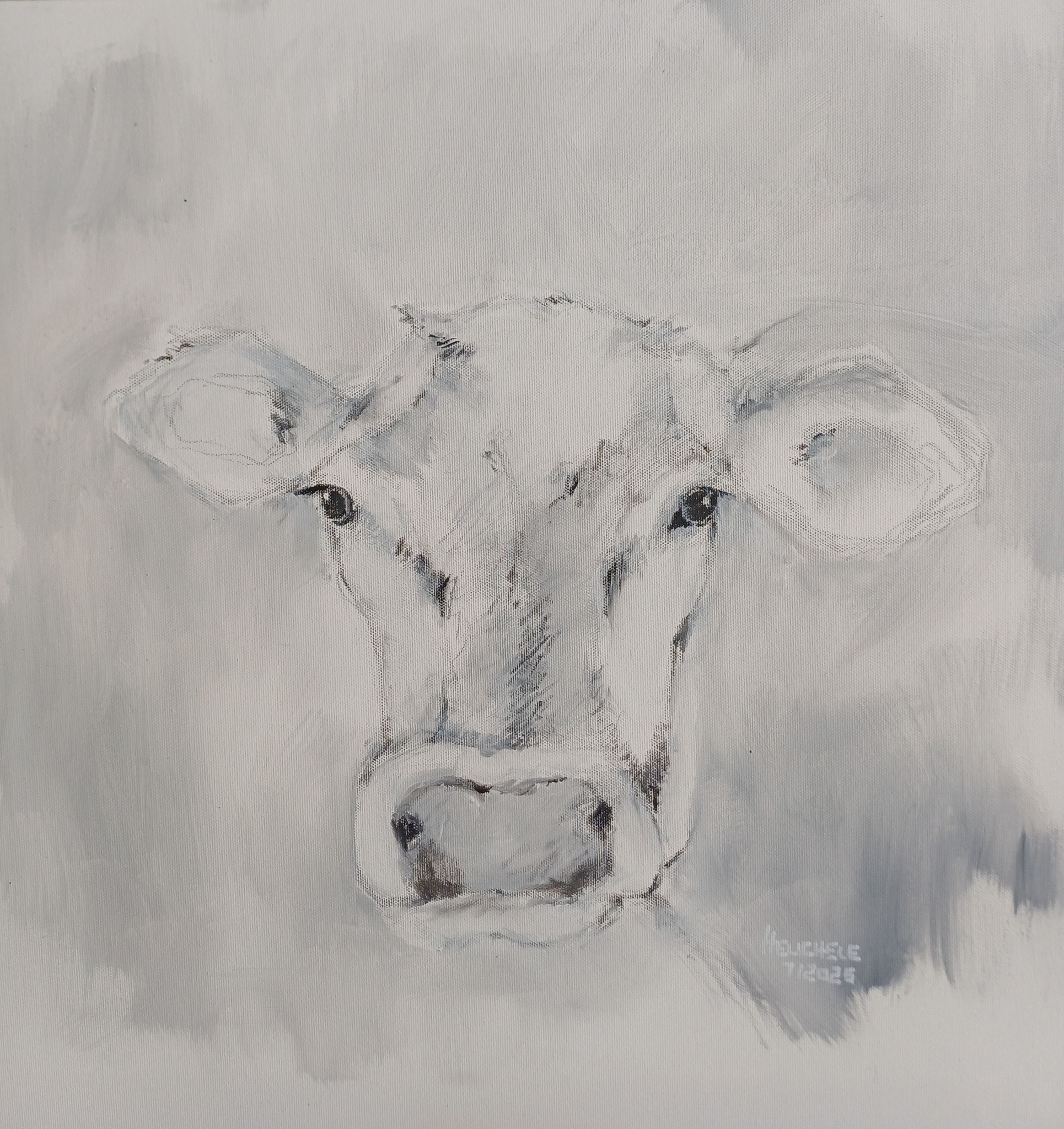 Lina 50 x 50