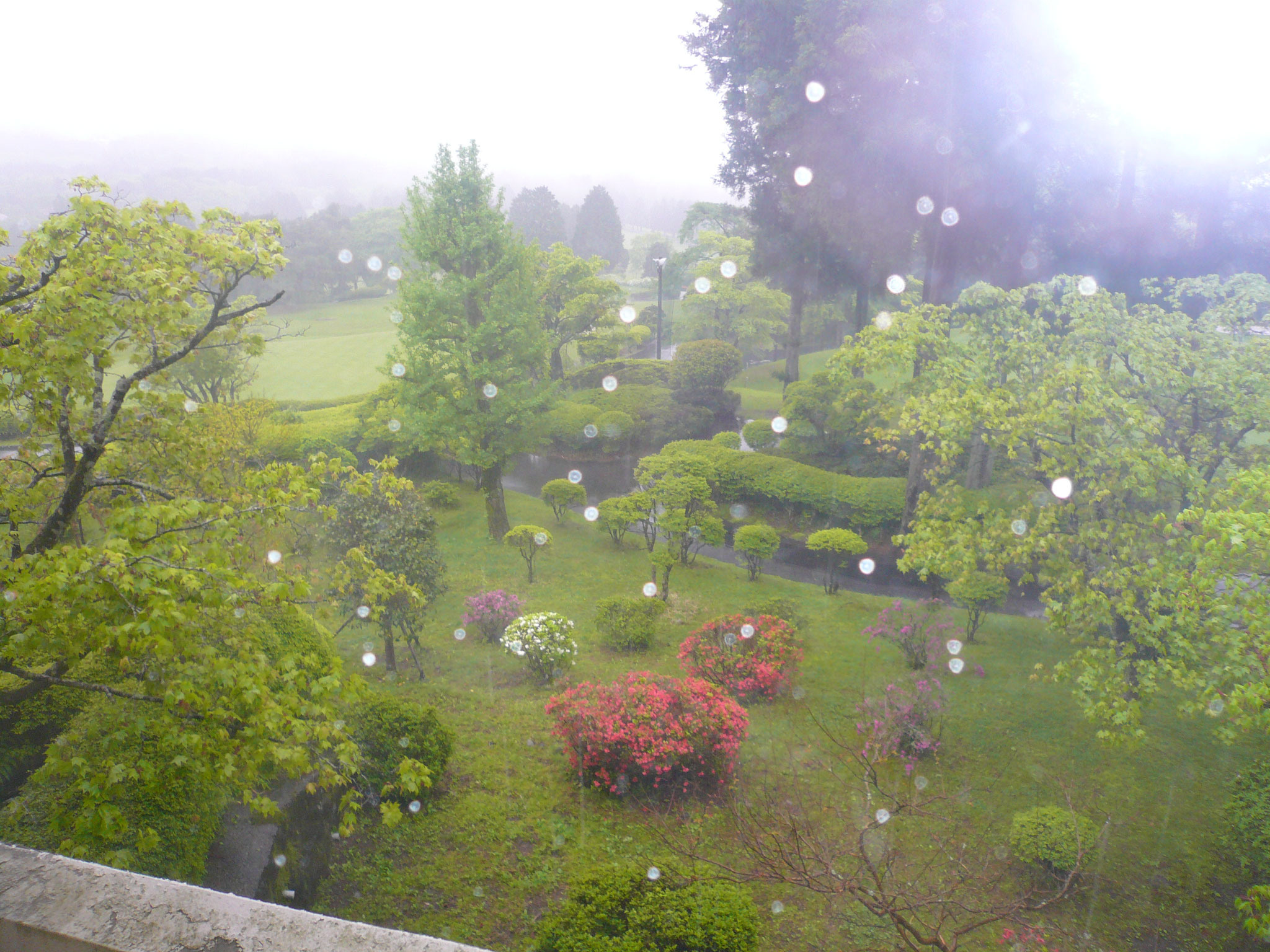 窓の雨粒