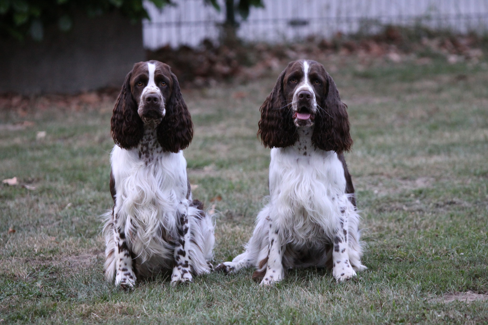 Lonni rechts mit Bruder Clooney links