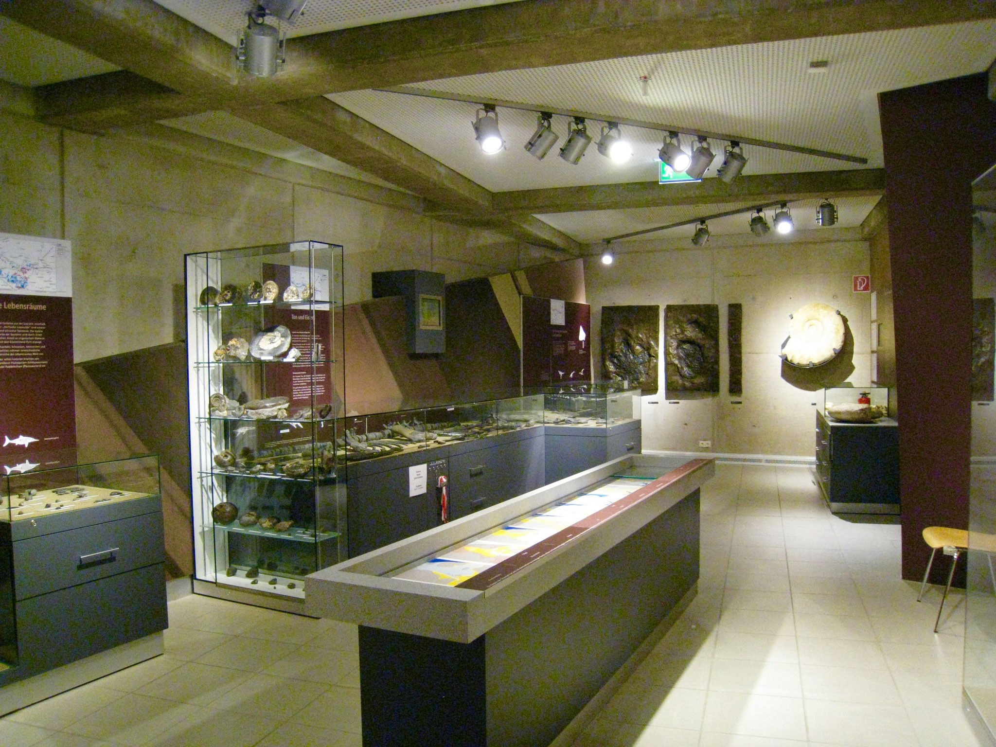 Ausstellungsraum im Dobergmuseum