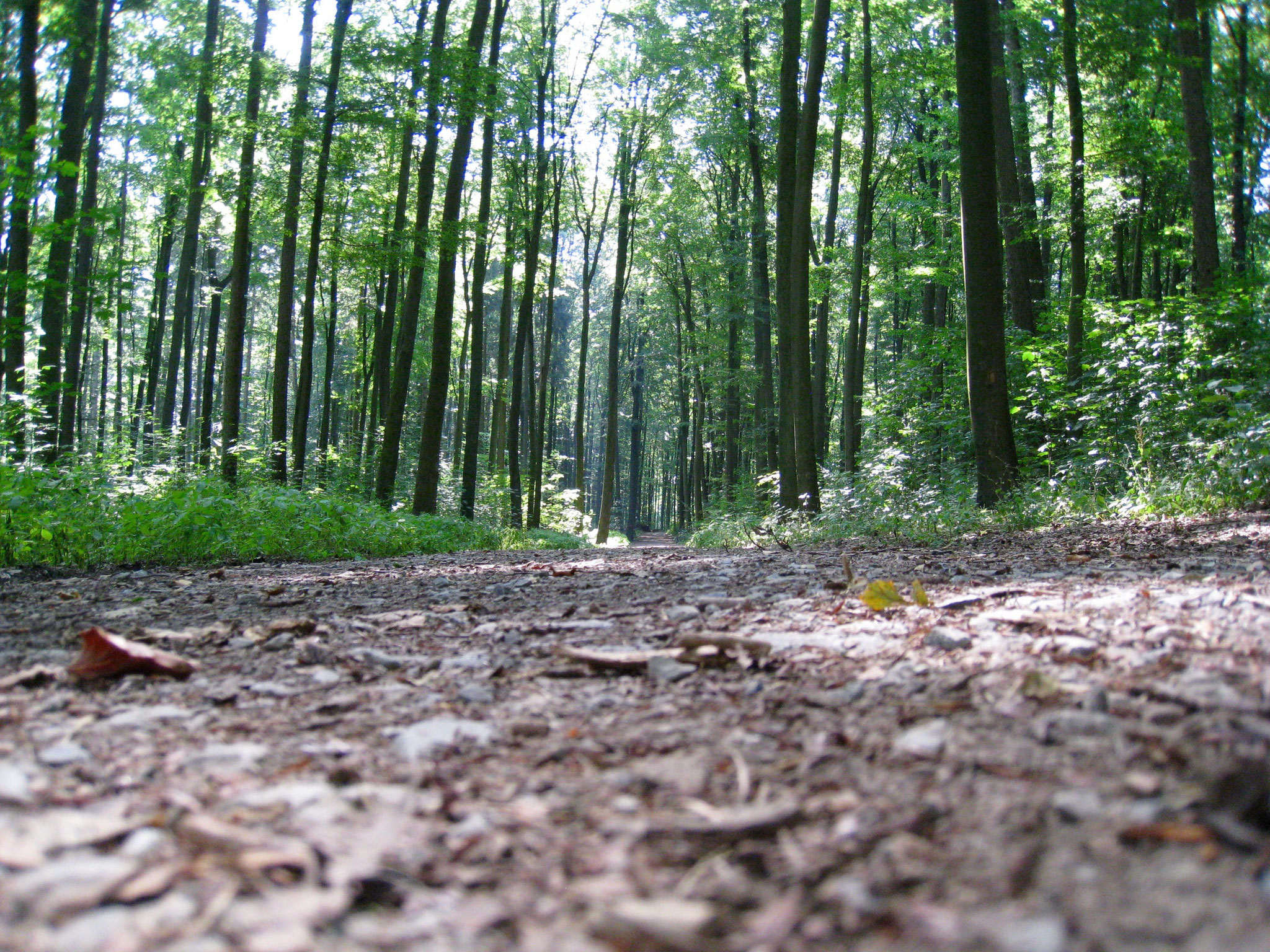 Wanderweg