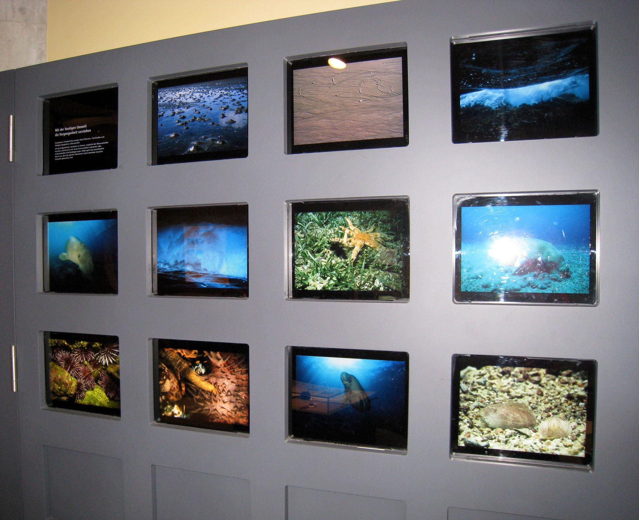Multimediastation im Dobergmuseum