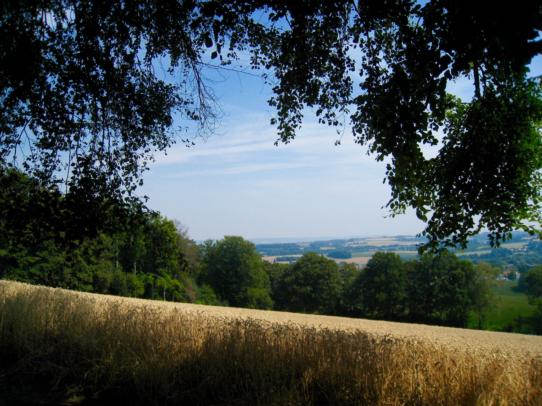 Schweichler Berg: Blick vom Panorama-Punkt