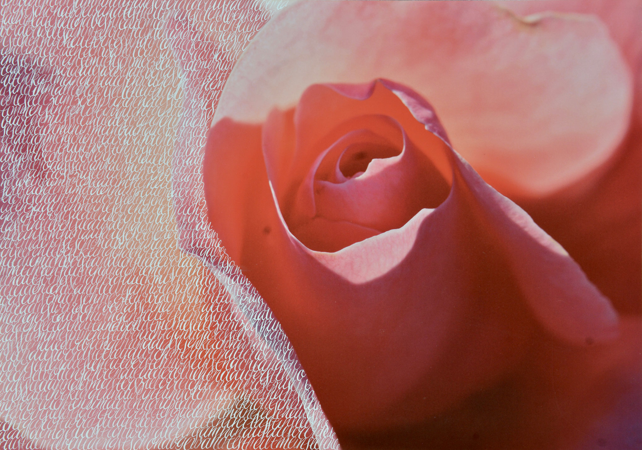 Seele der Rose (Madeira, Portugal, 2010) - ‚An die Zukunftsseelen’, Kaiserin Elisabeth