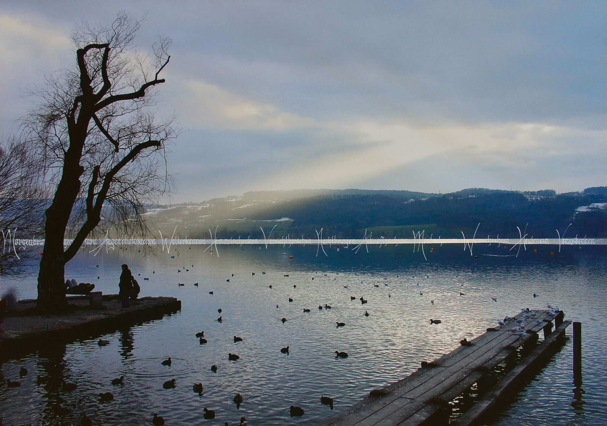 Magischer Greifensee (Greifensee, Schweiz, 2004) - Ungewöhnliche Wortkombinationen