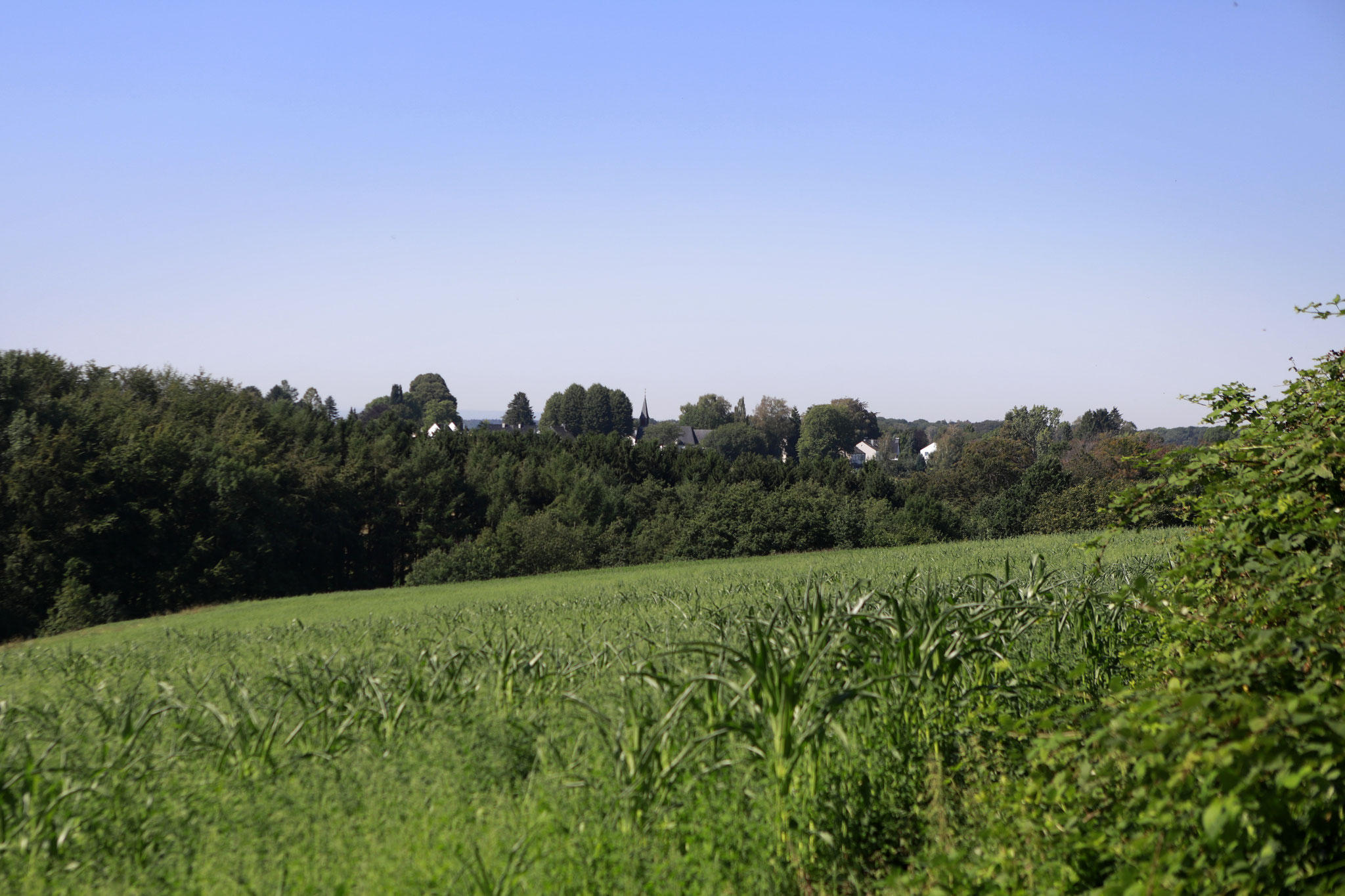 Blick auf die Hofschaft Kohlsberg in Solingen Höscheid, Sommer 2020