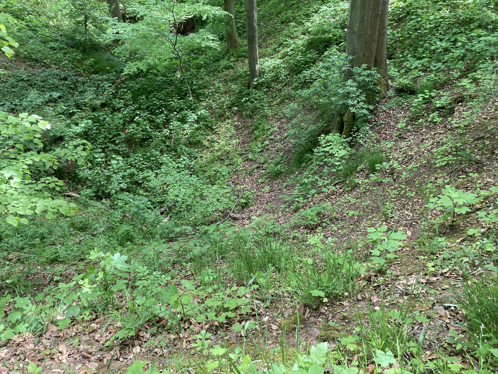 Tiefer Erdfall; Foto: Michael Wetzel