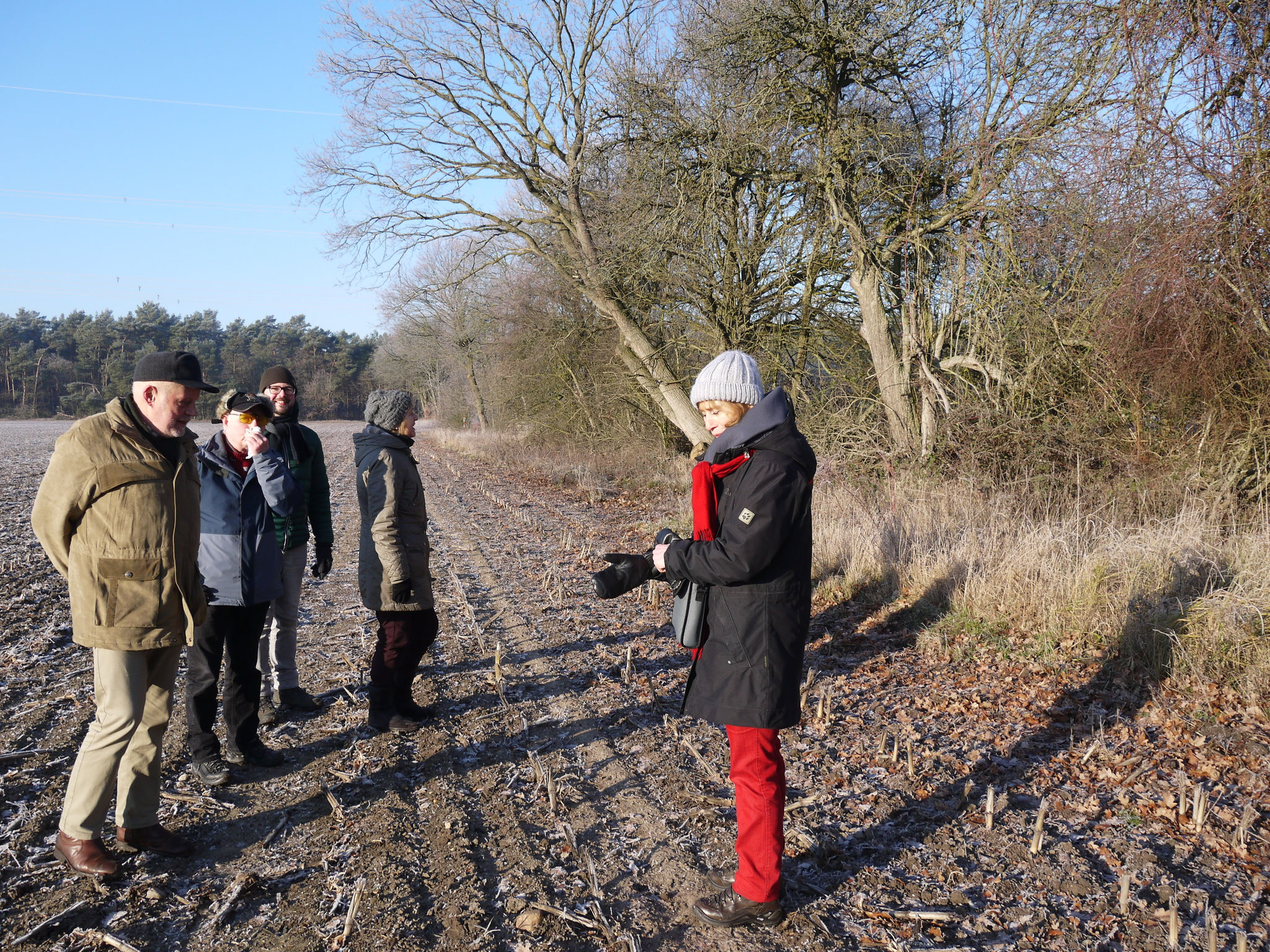 An der aufgelassenen Allee westlich Ellersell; Foto: Michael Wetzel