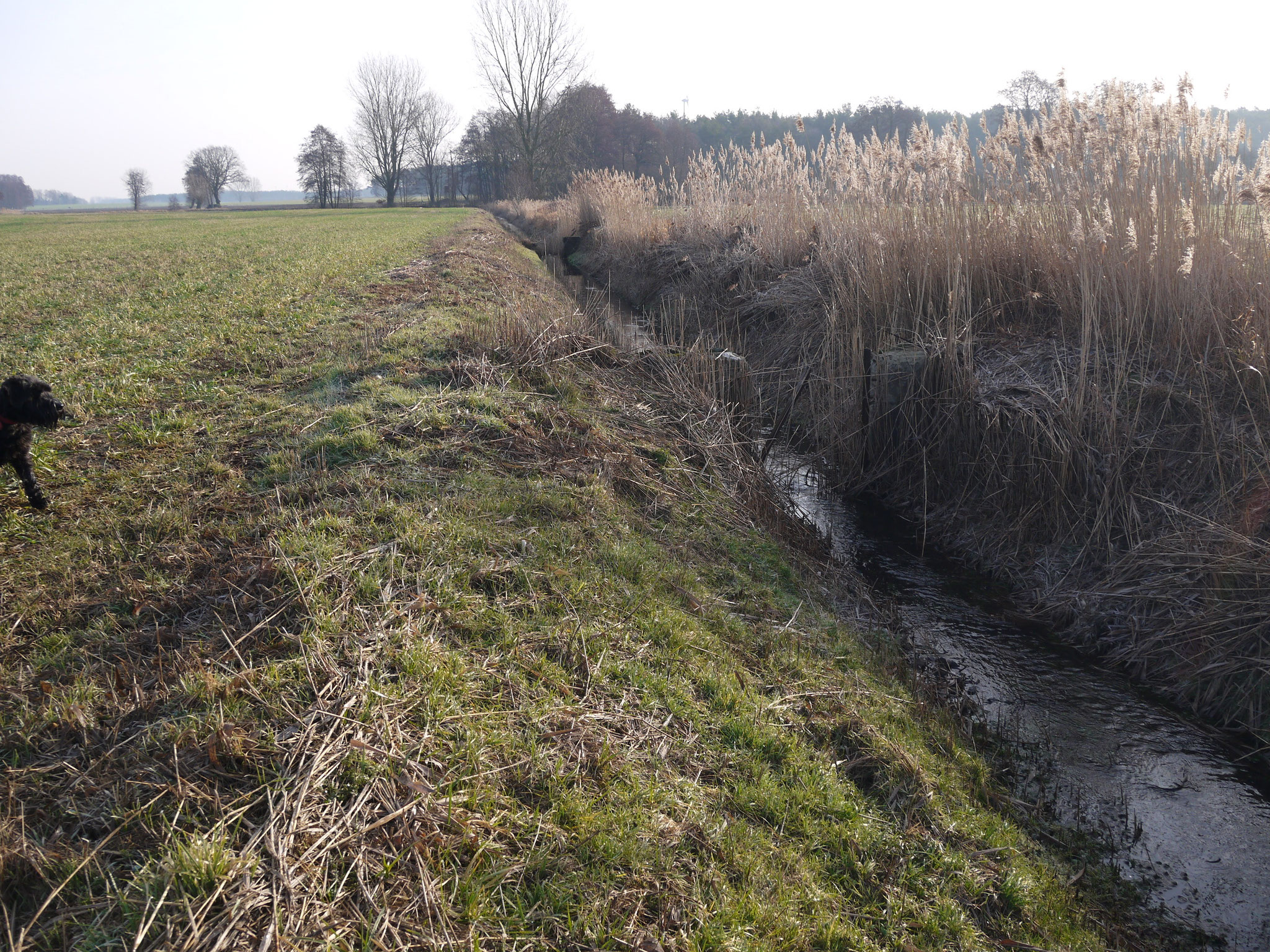 Mühlengraben mit alten Stauanlagen; Foto: Michael Wetzel