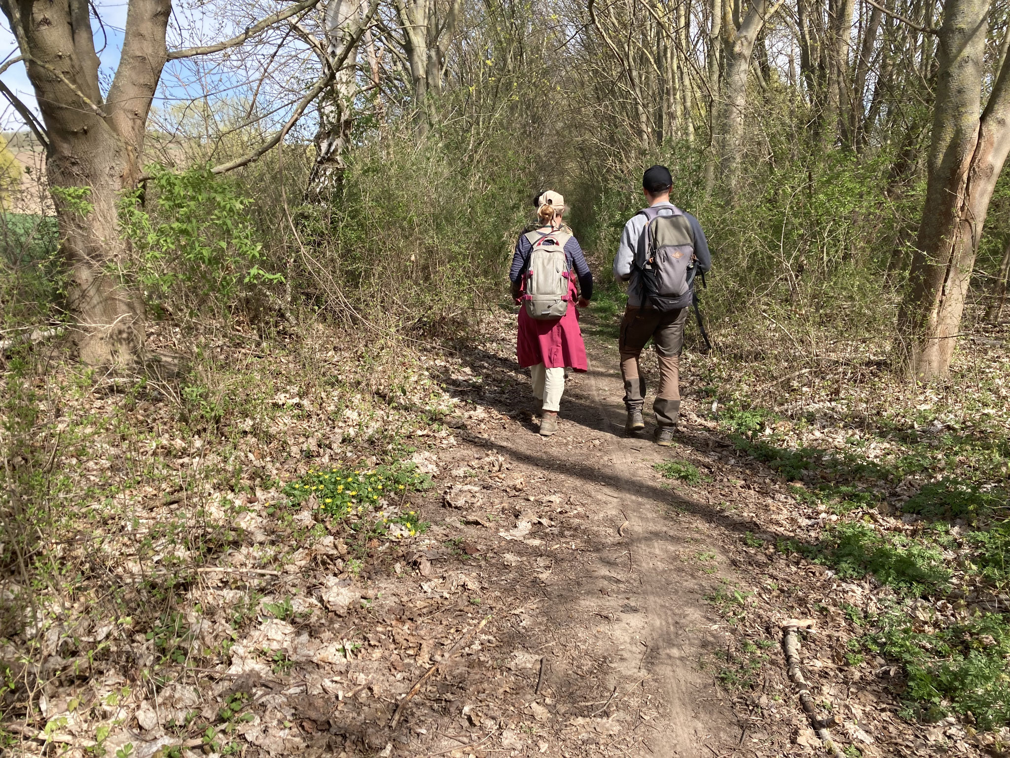 Im Voßberg-Wäldchen; Foto: Michael Wetzel