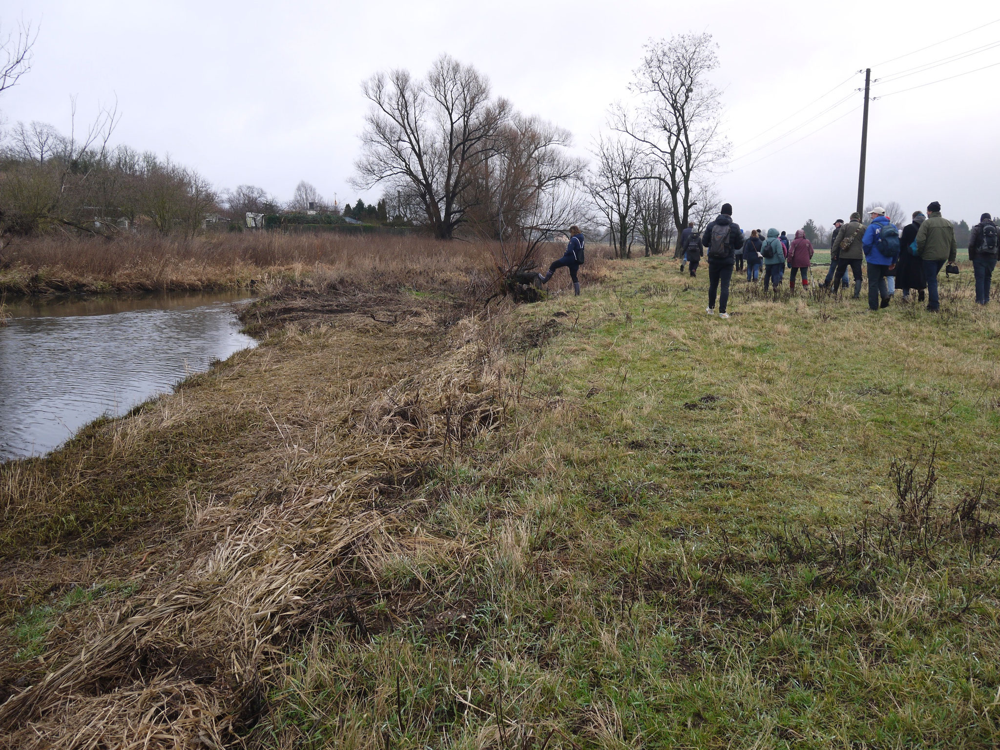 Rückweg über den Uferstreifen an der Ohresüdseite; Foto: Michael Wetzel