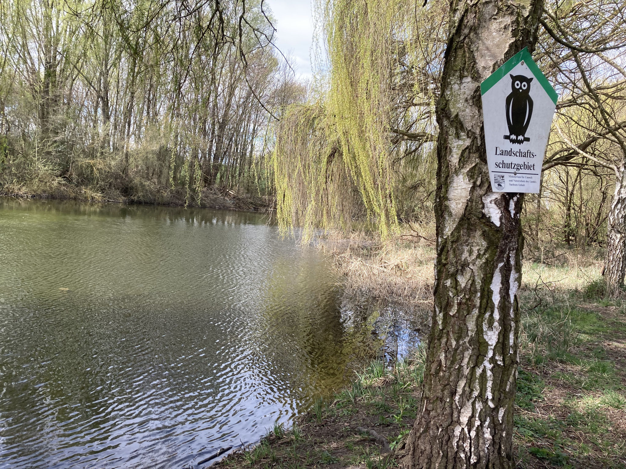 Teich im Voßberg-Wäldchen; Foto: Michael Wetzel