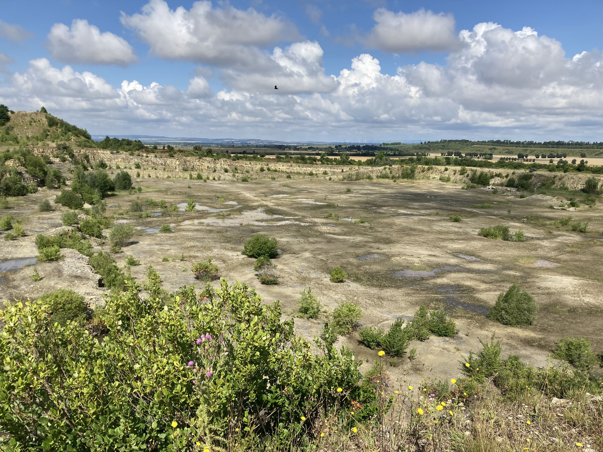 Kalksteinbruch Kroppenstedt Süd; Foto: Michael Wetzel