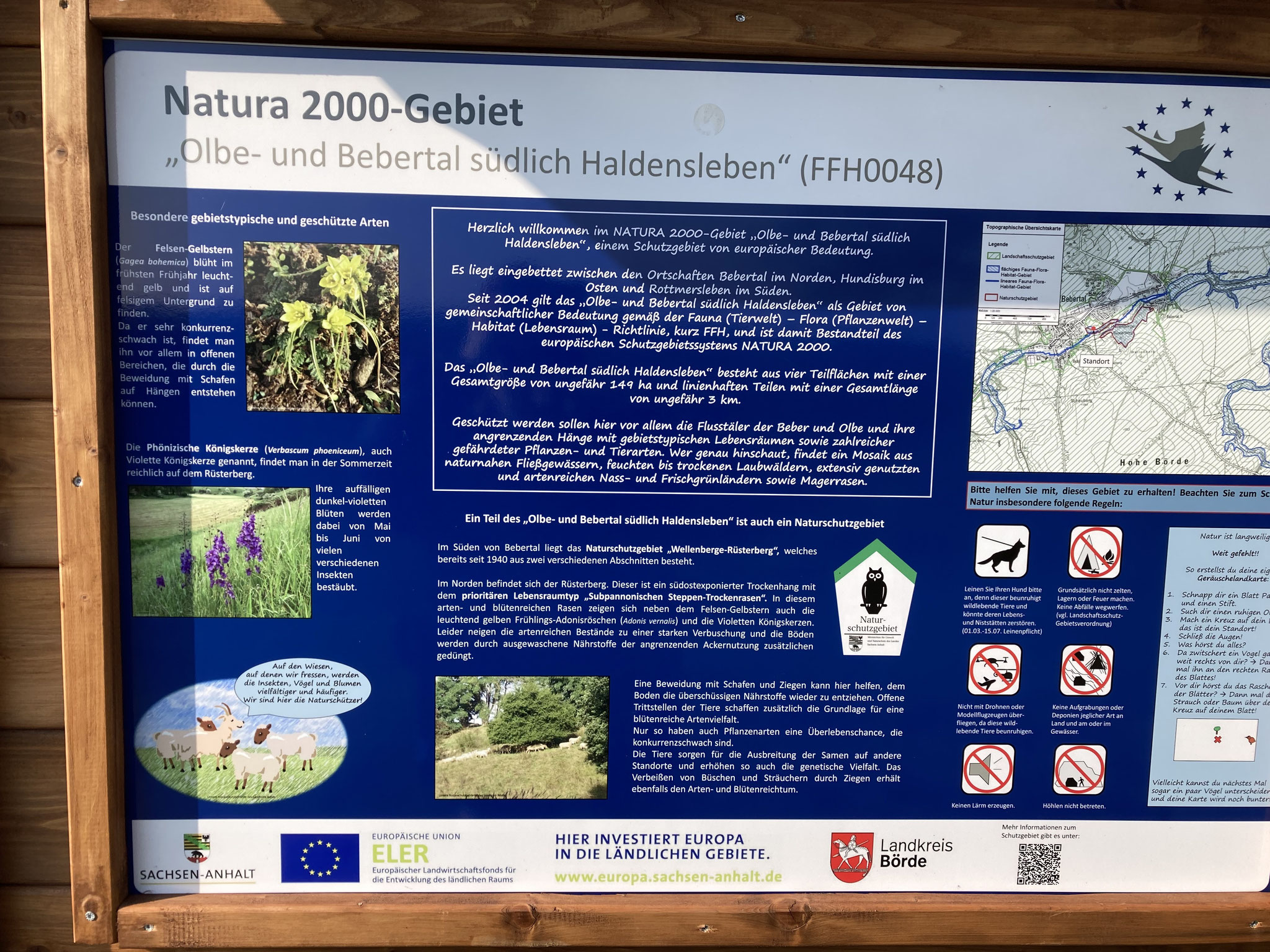 Info-Tafel auf dem Rüsterberg; Foto: Michael Wetzel
