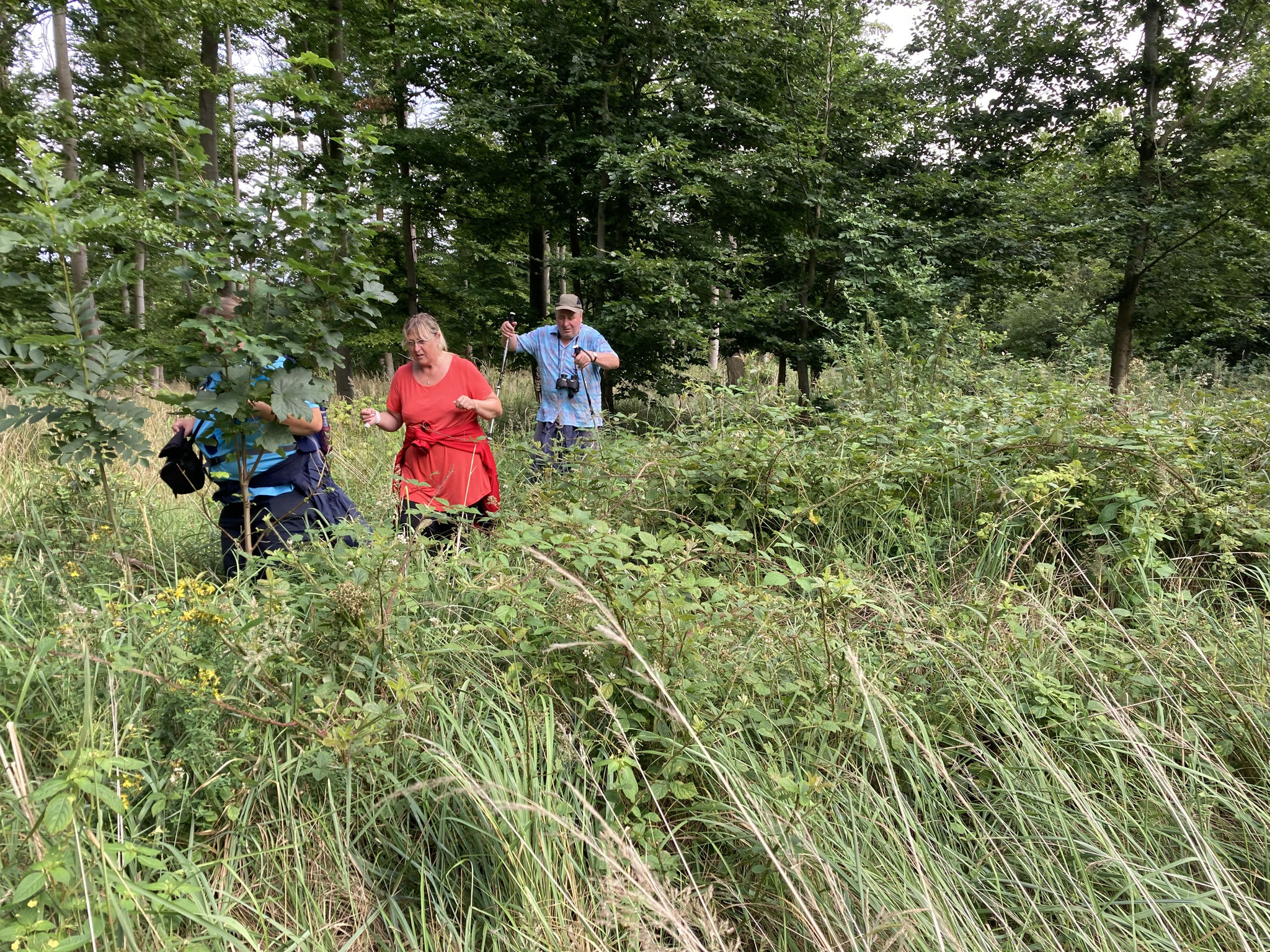 Durch den Bestand zum Kleingewässer; Foto: Michael Wetzel