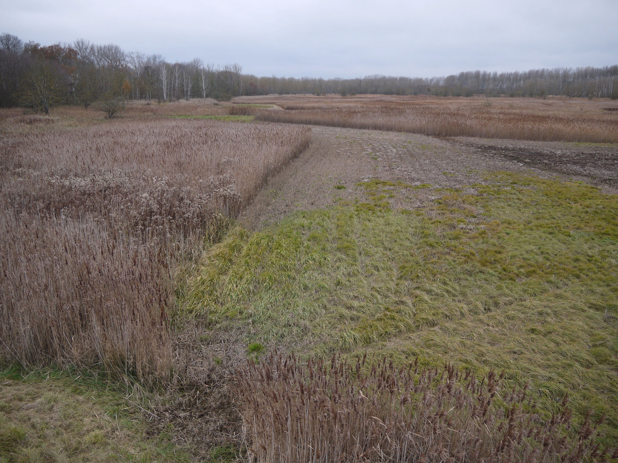 Blick von der Offenland-Kanzel Richtung Westen; Foto: Michael Wetzel