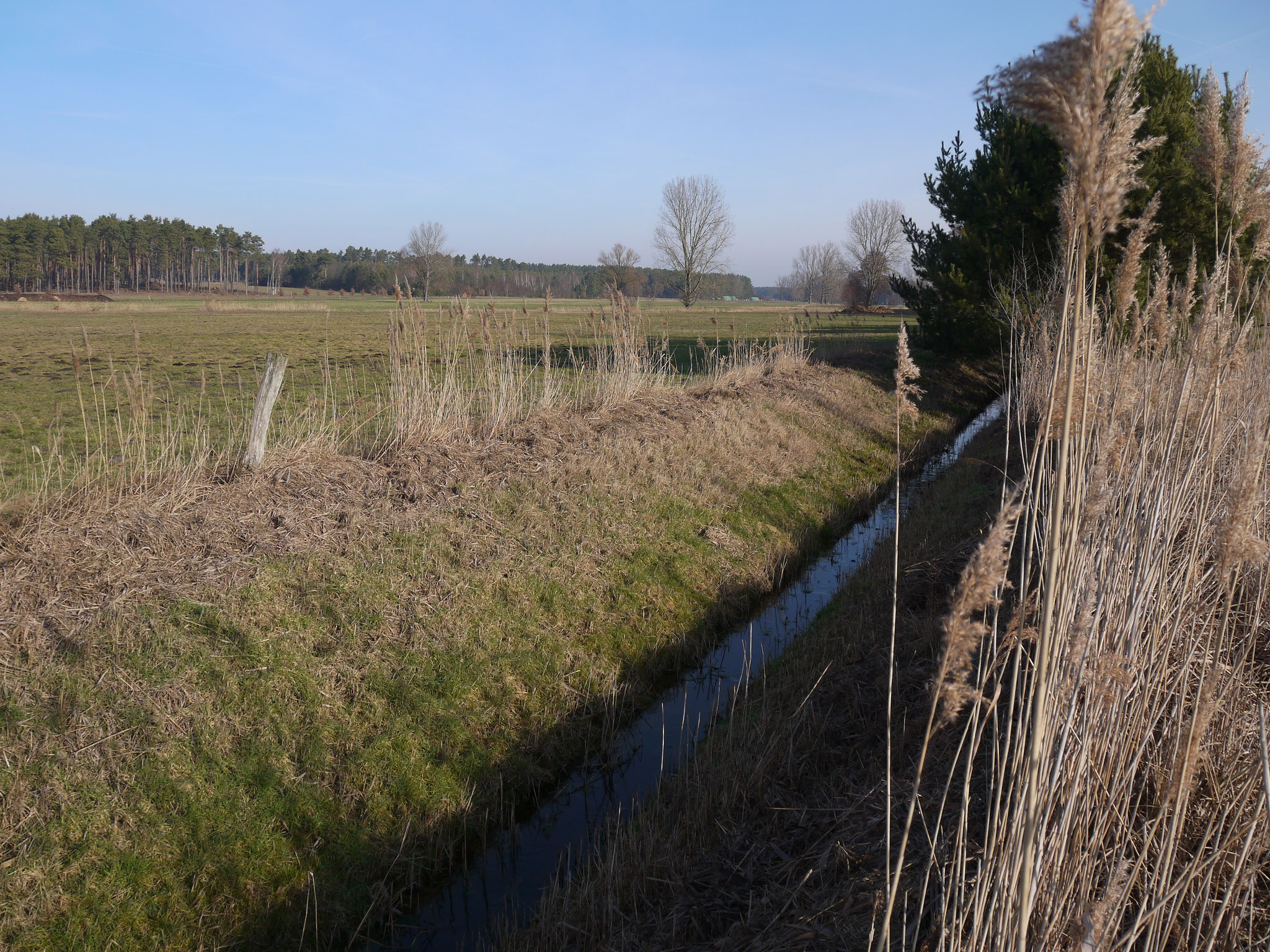 Blick in die Gerickenwiesen; Foto: Michael Wetzel