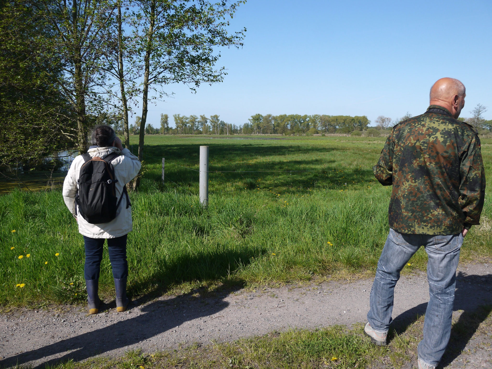 Limikolenbeobachtung; Foto: Michael Wetzel
