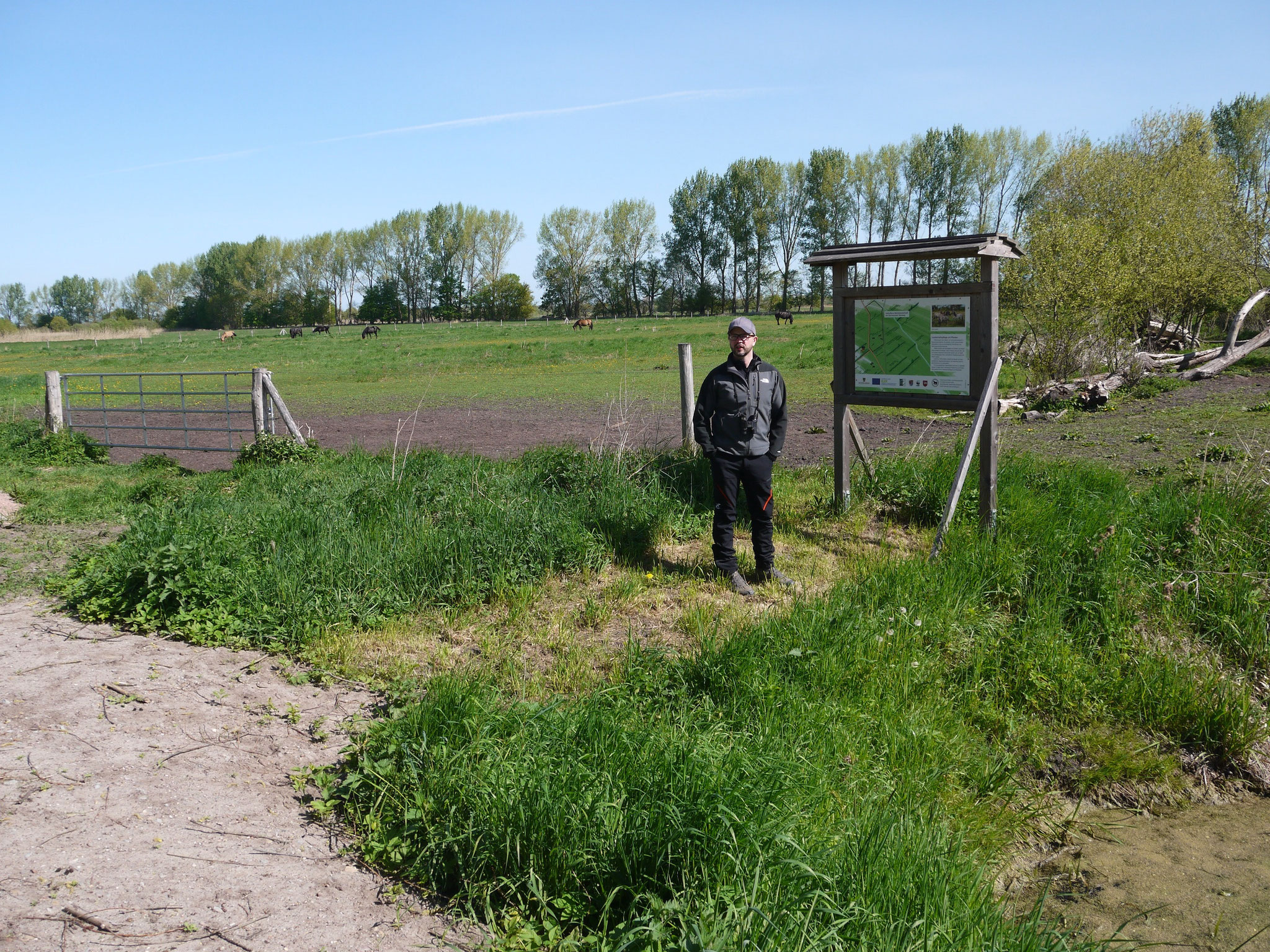 An der Pferde-Ganzjahresweide; Foto: Michael Wetzel