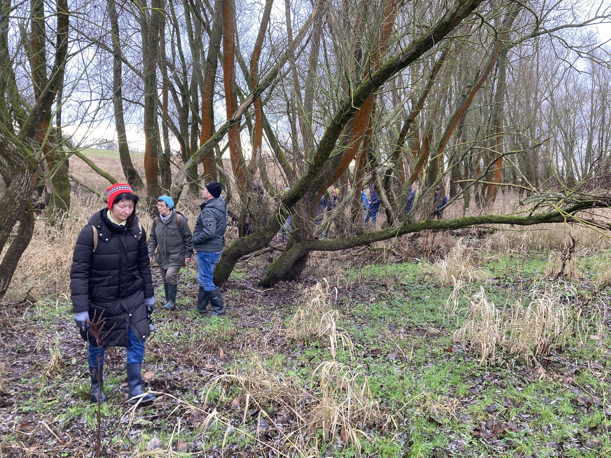 In der Weichholzaue; Foto: Michael Wetzel