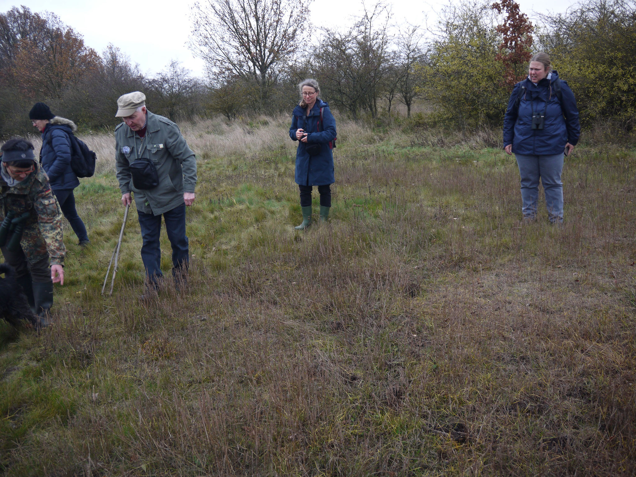 Auf der Salzwiese; Foto: Michael Wetzel