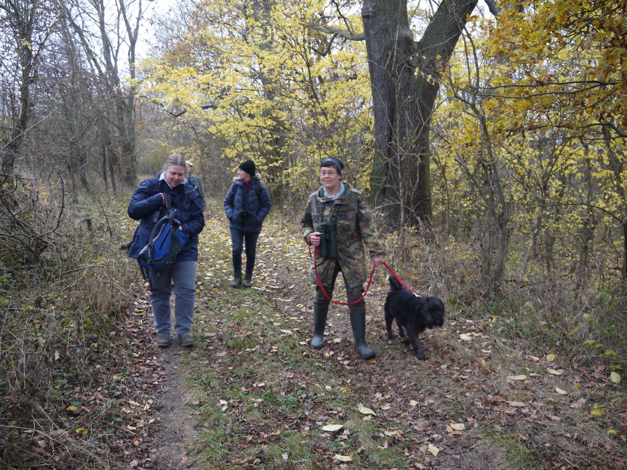 Auf dem Weg am Südrand des LSG; Foto: Michael Wetzel