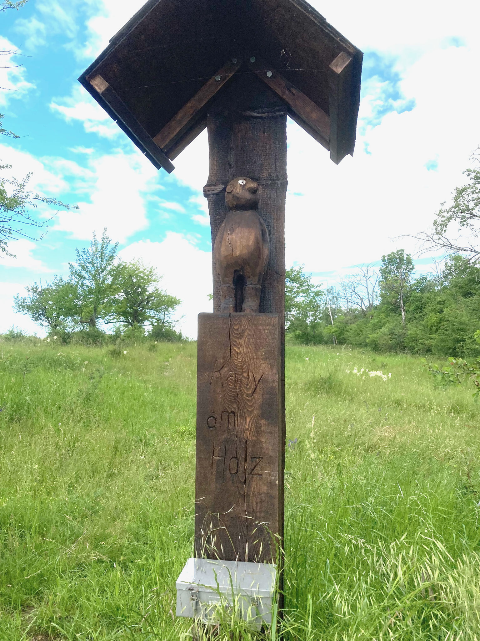 Kalli am Holz; Foto: Michael Wetzel