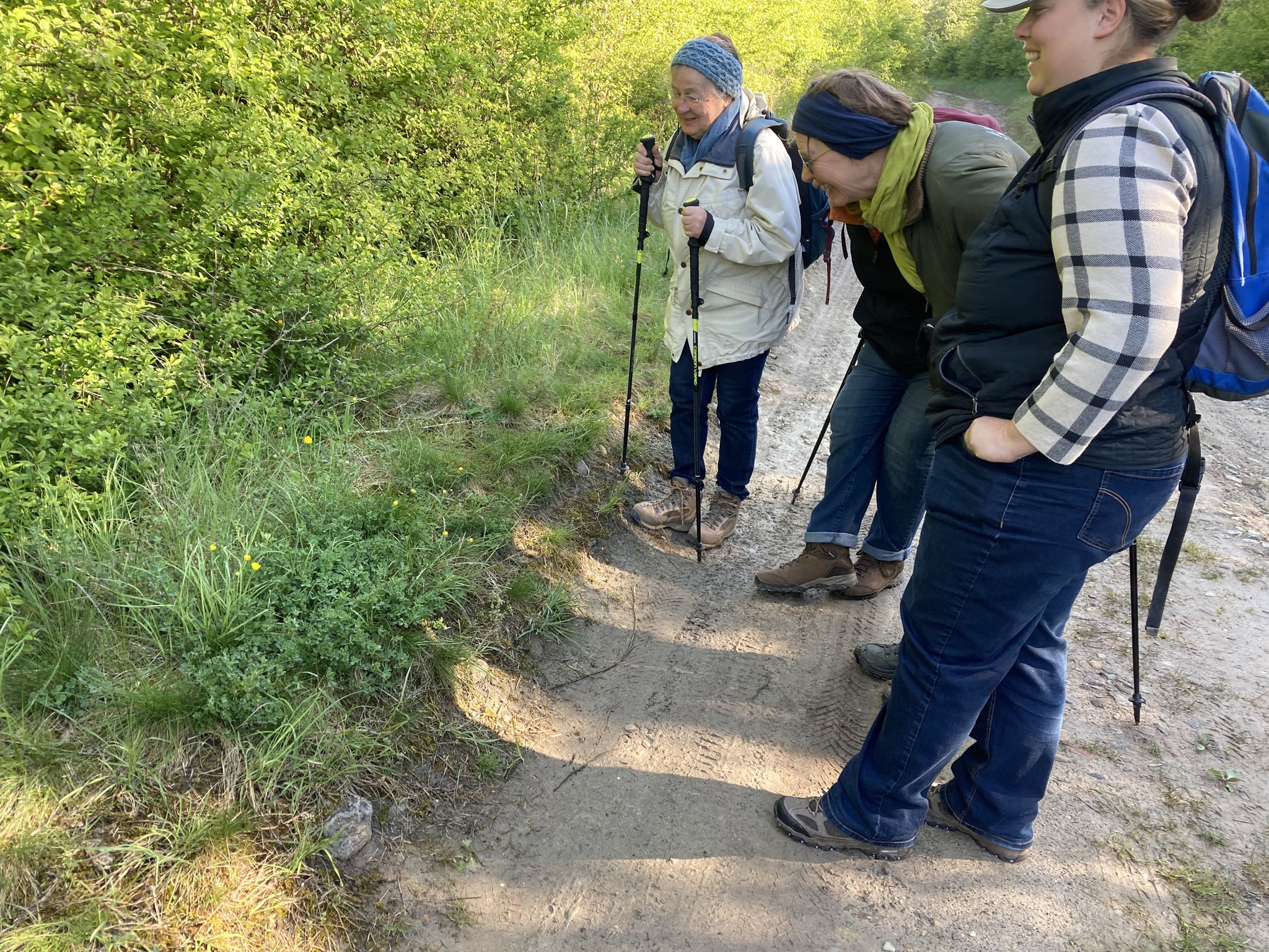 Auf dem Hohlweg; Foto: Michael Wetzel