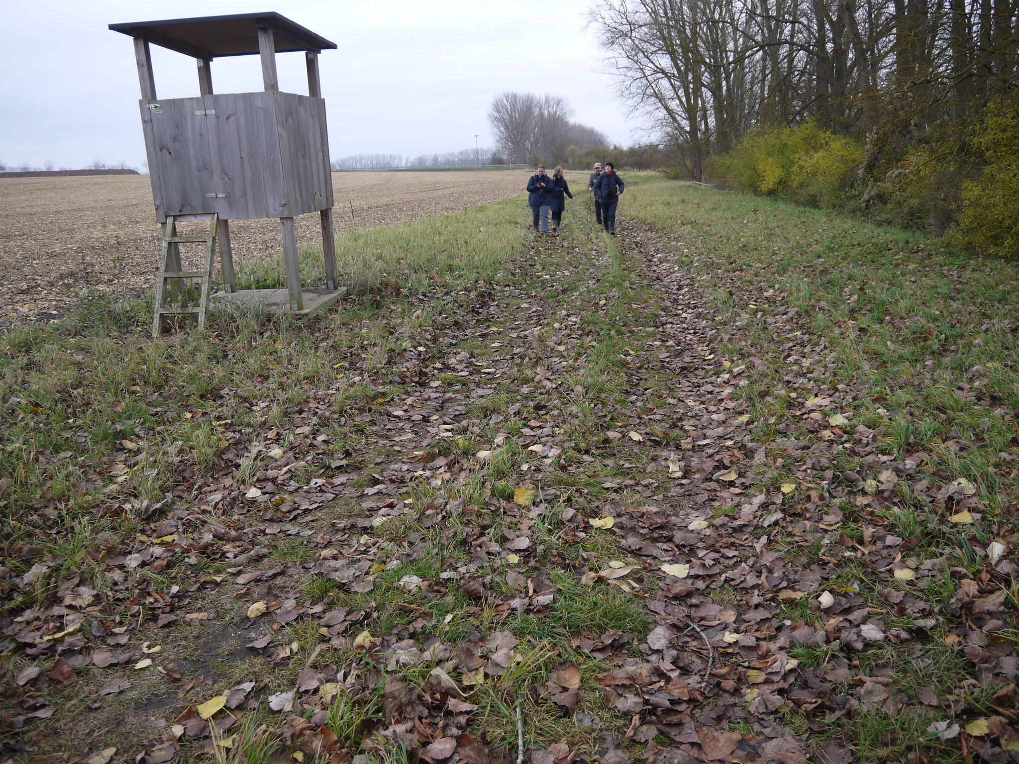 Auf dem Grünlandstreifen an der Nordseite des LSG; Foto: Michael Wetzel