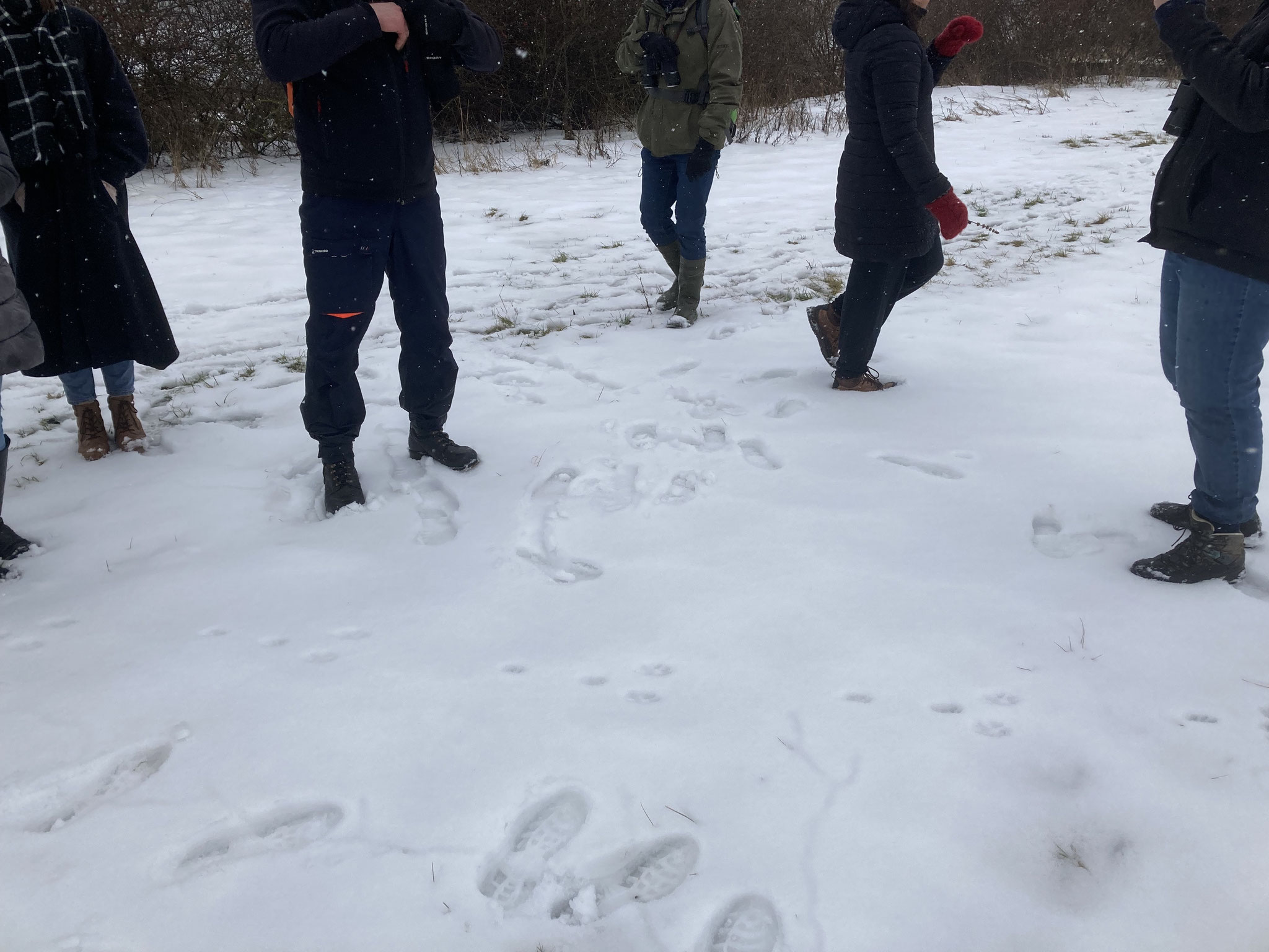 Spurensuche im Schnee; Foto: Michael Wetzel