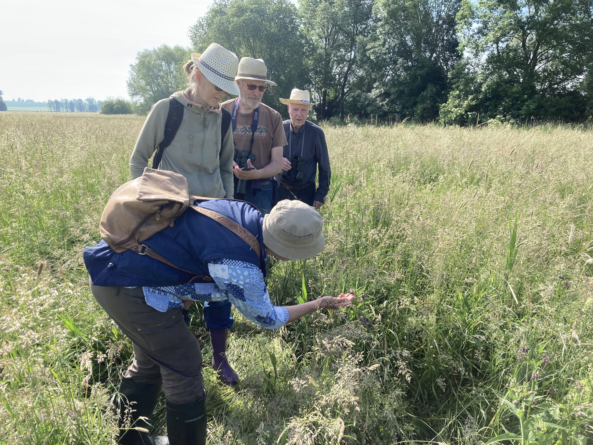 Fund des Trauerrosenkäfers; Foto: Michael Wetzel