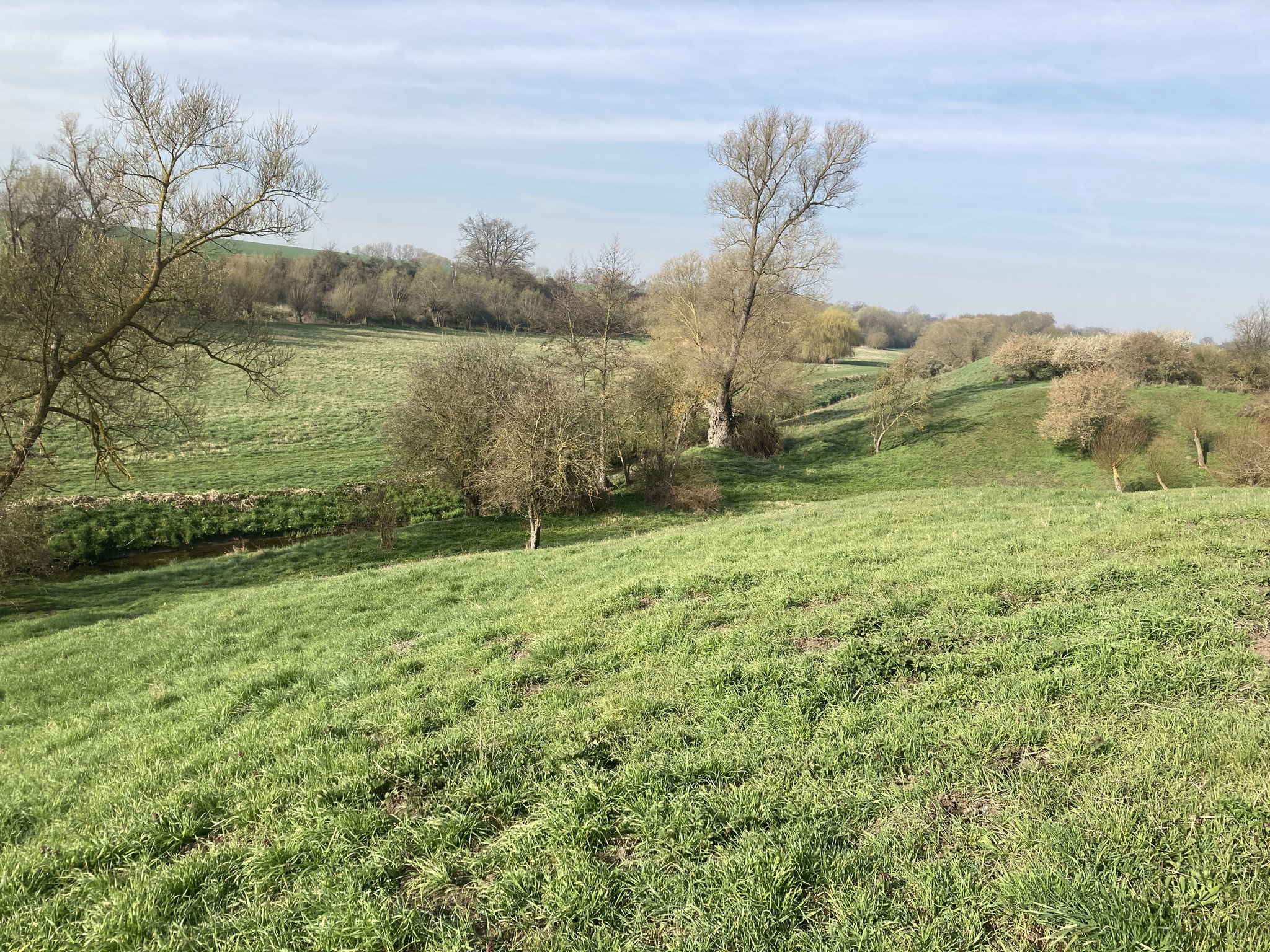 Blick von der Ruine in die Wehrbergwiese; Foto: Michael Wetzel