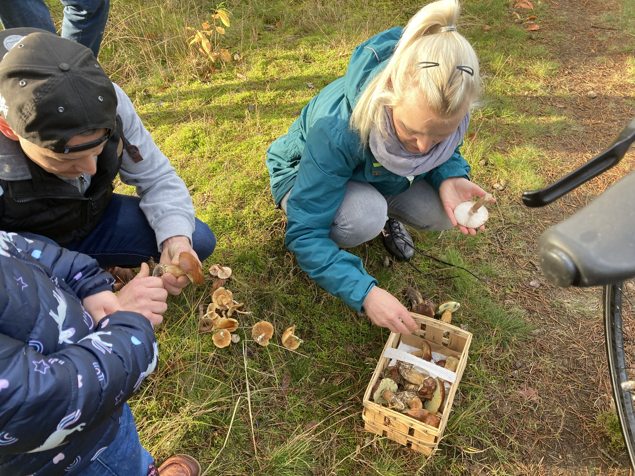 Aussortieren von Pilzfunden: Maronen und Perlpilz bleiben im Korb. Die anderen bleiben im Wald.; Foto: Michael Wetzel
